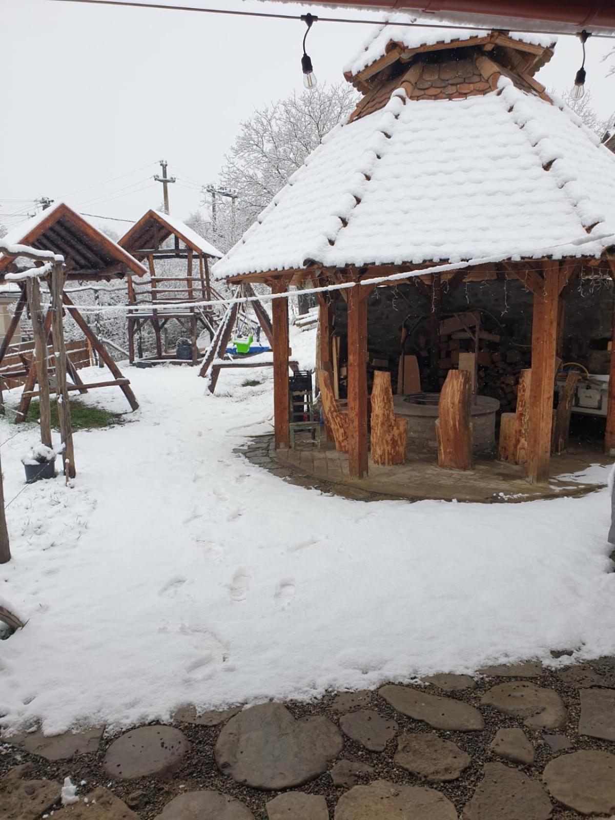 Photo 21