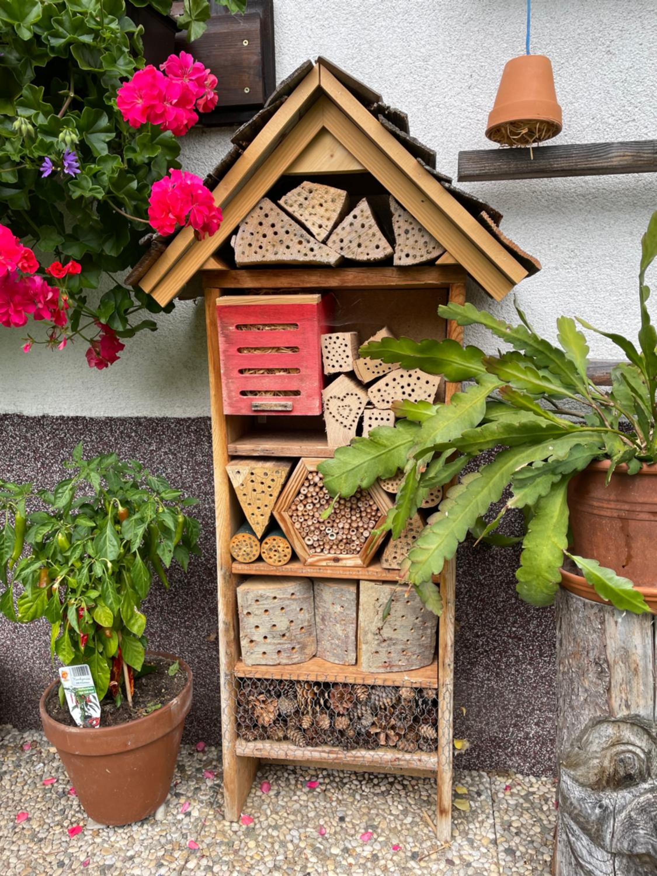 Ferienwohnung Sonnschein