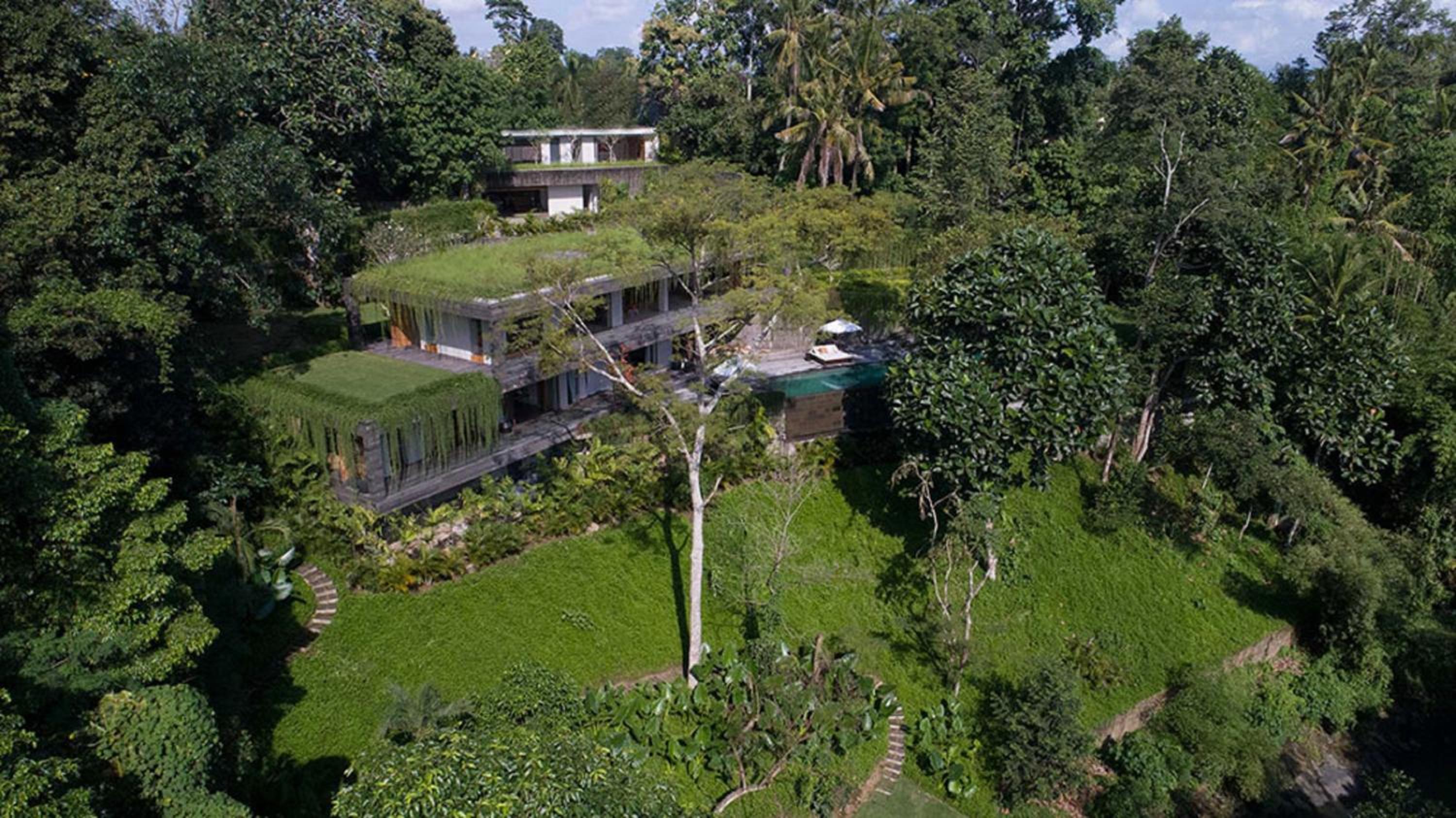 Chameleon Villa Bali