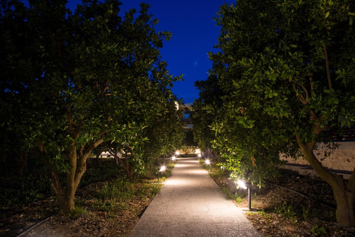 Ialyssos Vacations - Ilyssion Holidays Hotel - Property Image 14