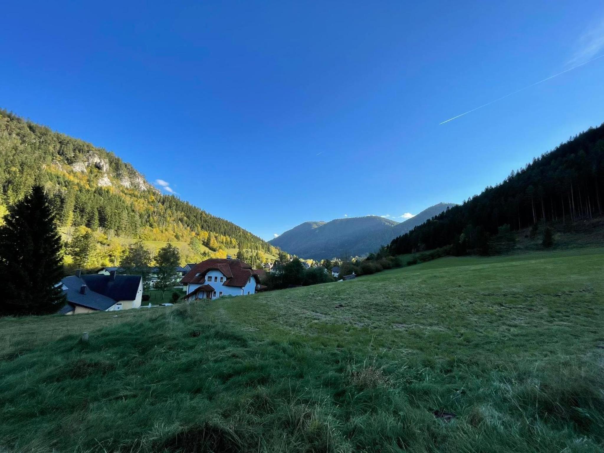 Holzhaus Falkenstein