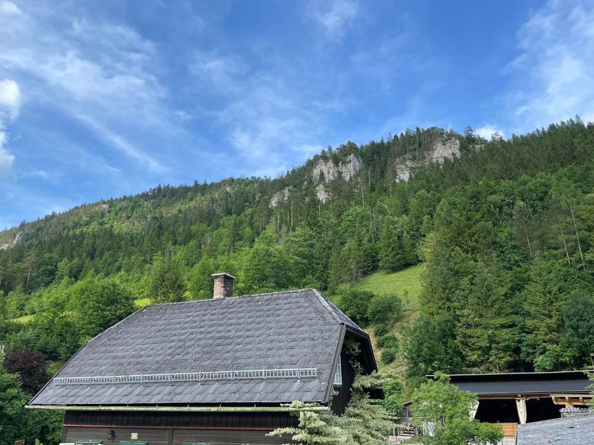 Holzhaus Falkenstein