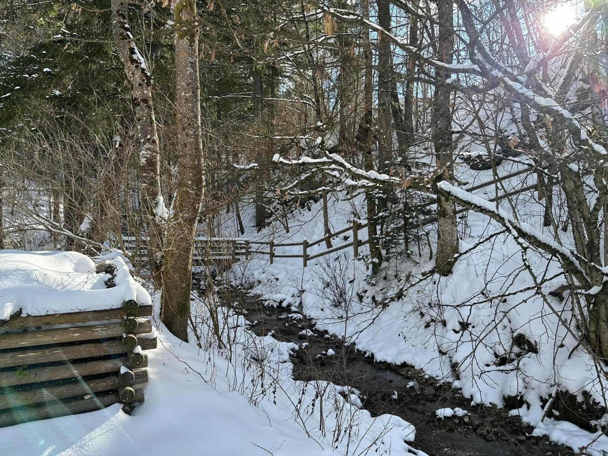 Holzhaus Falkenstein