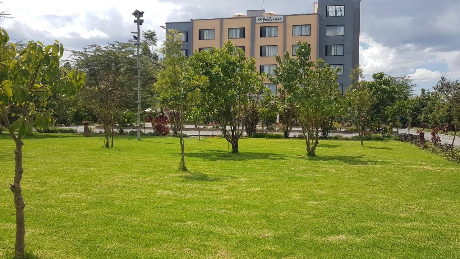 children's play area