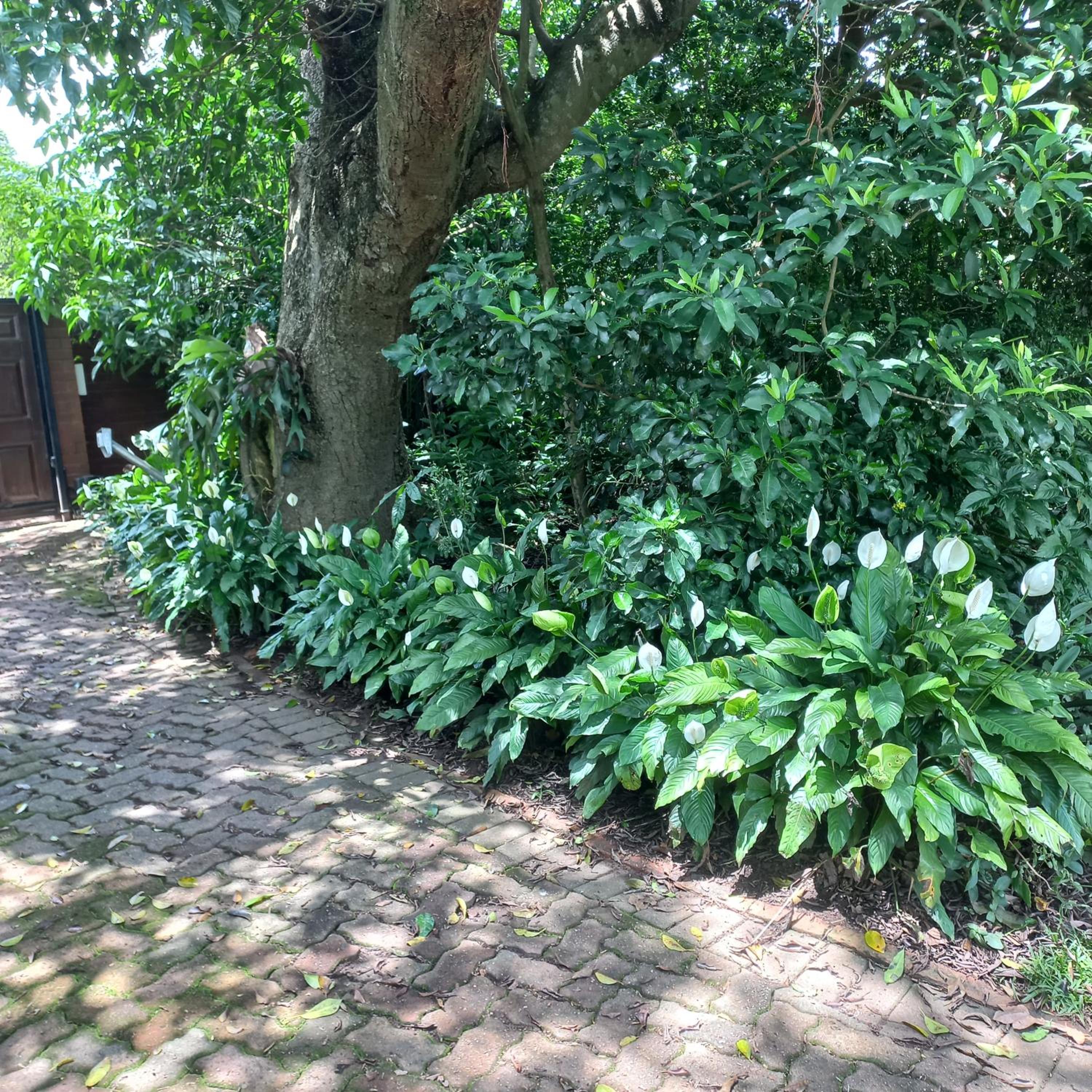 18 Pioneer BnB, photo 51
