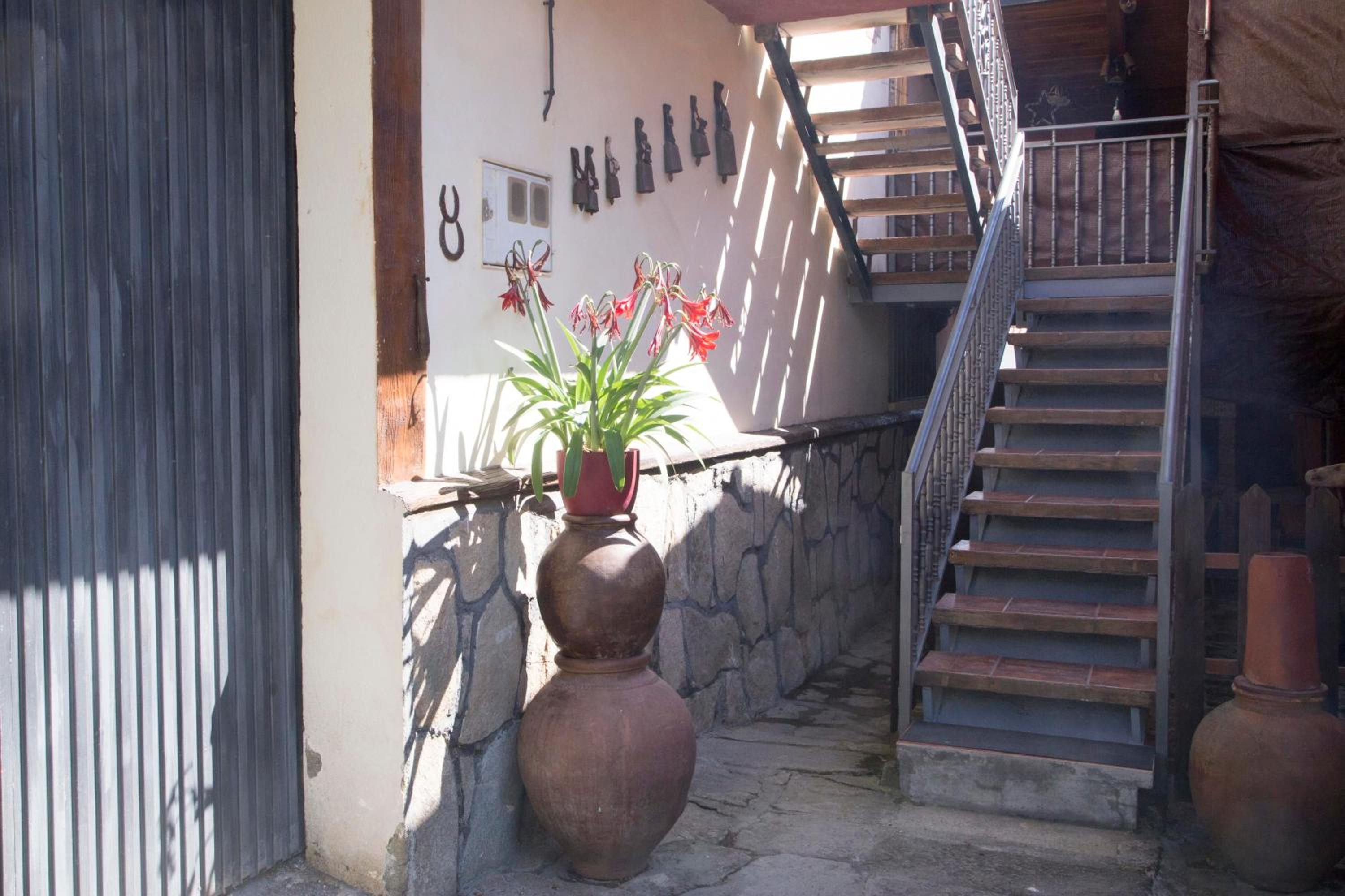 Photo 37