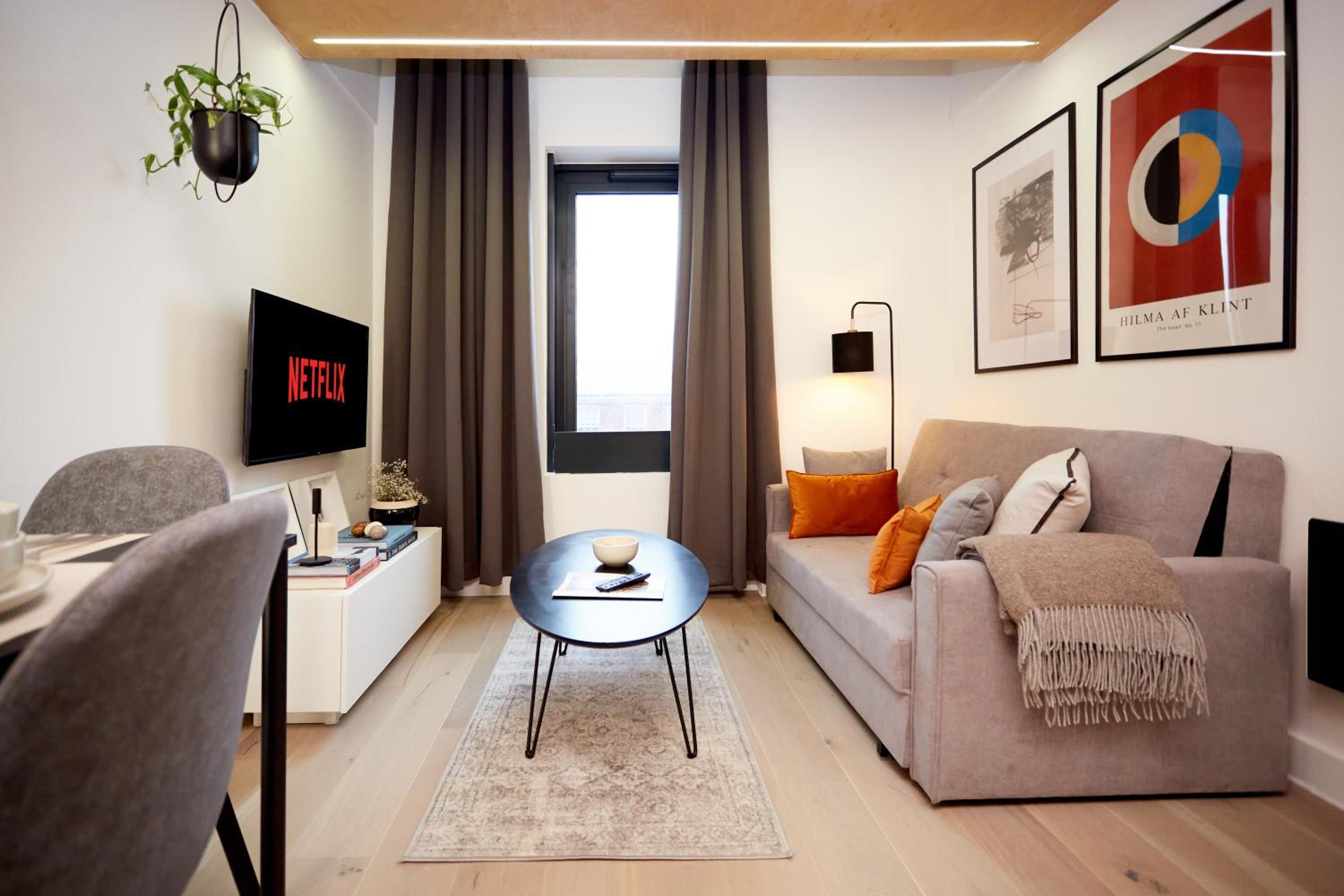 Luxury new built split-level flat with rooftop gardens access view 5