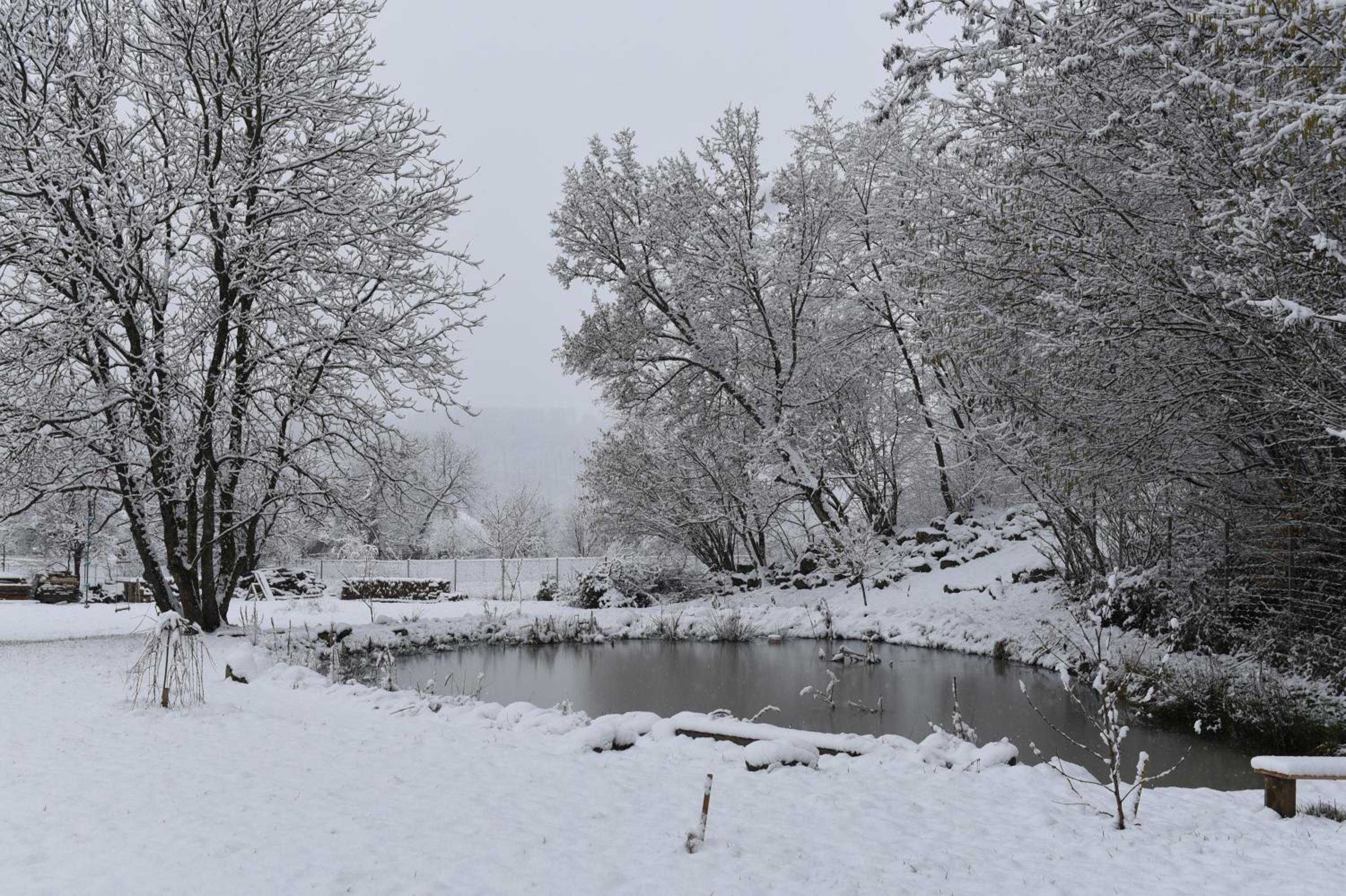 Photo 41