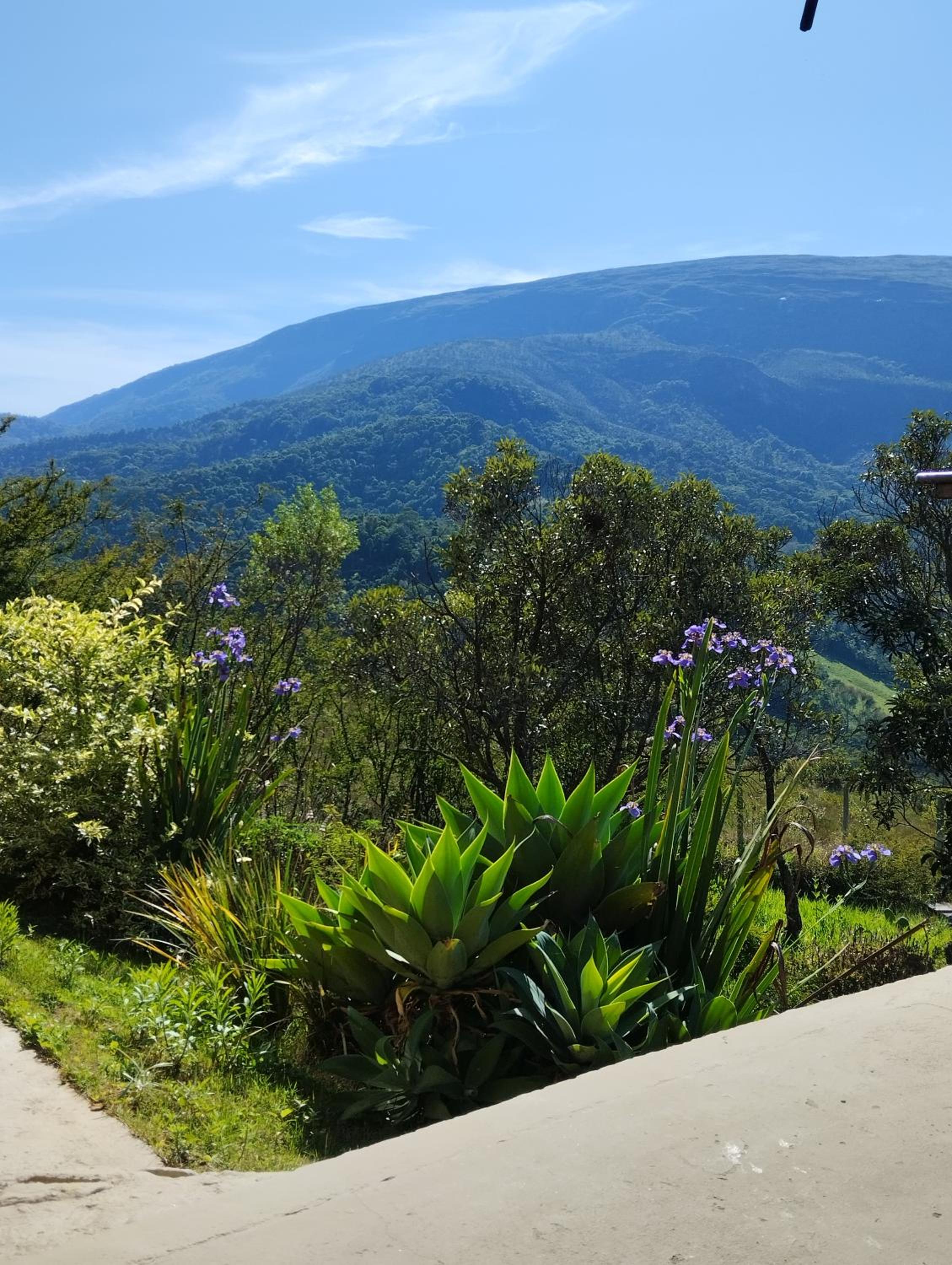 Casa em Conceição de Ibitipoca