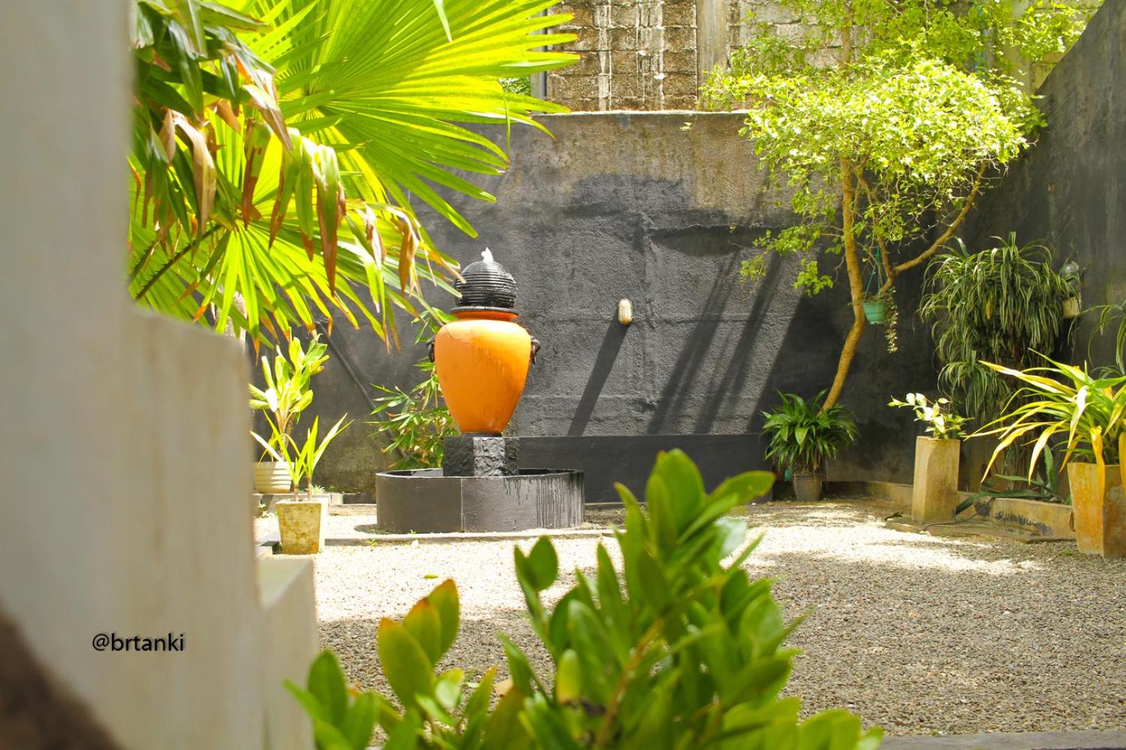 Photo 45