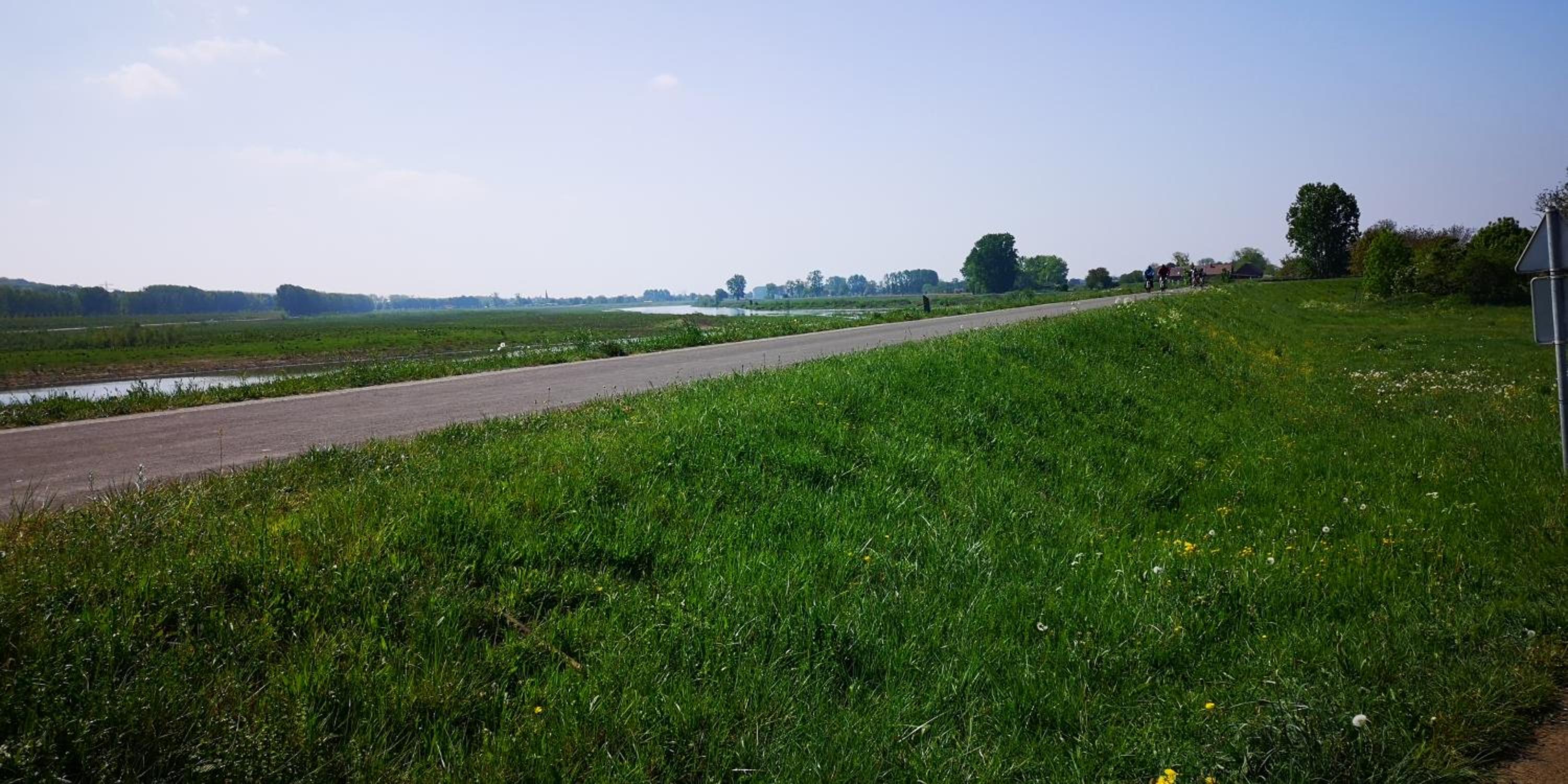 Photo 42