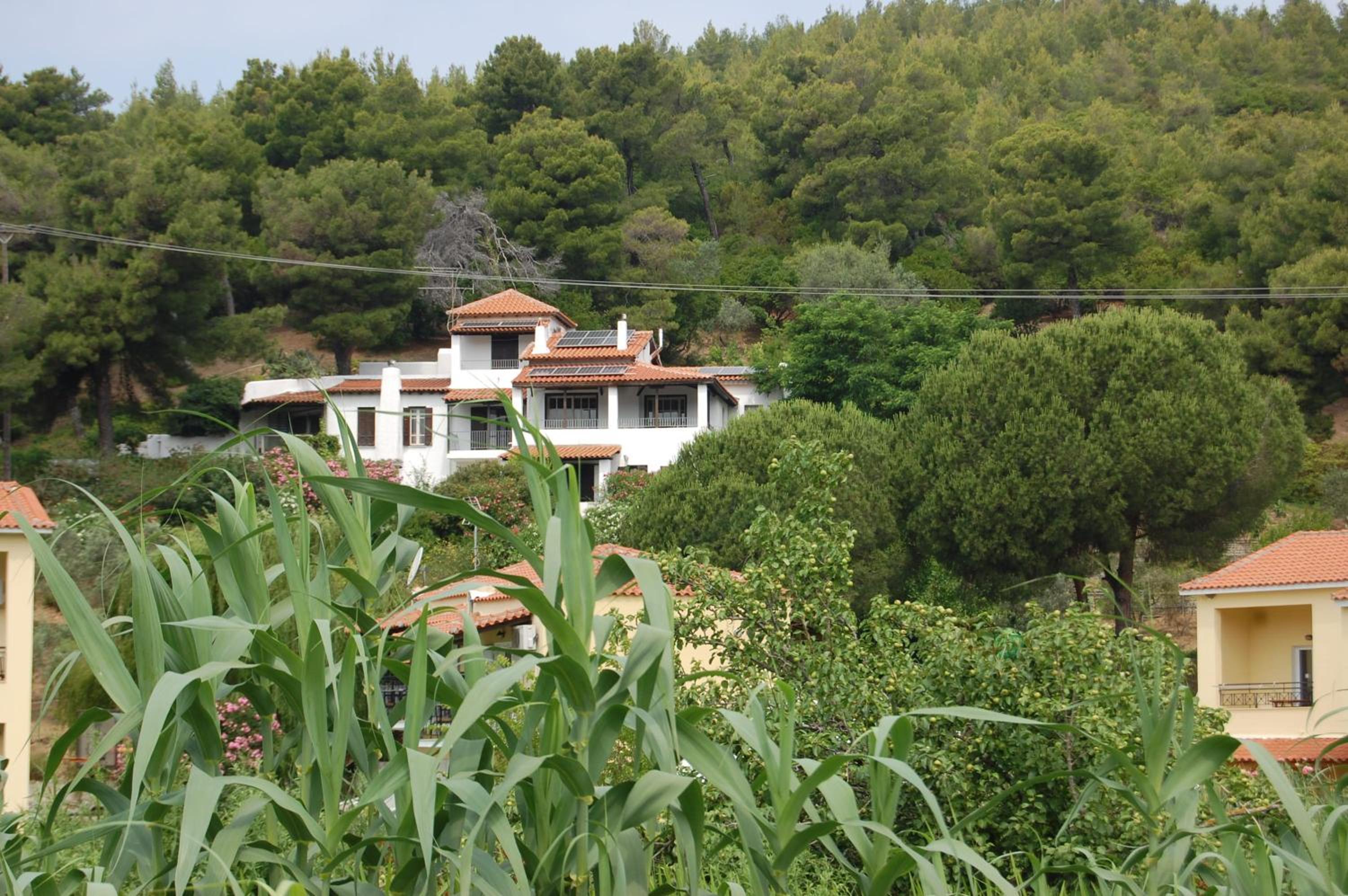 Photo 9