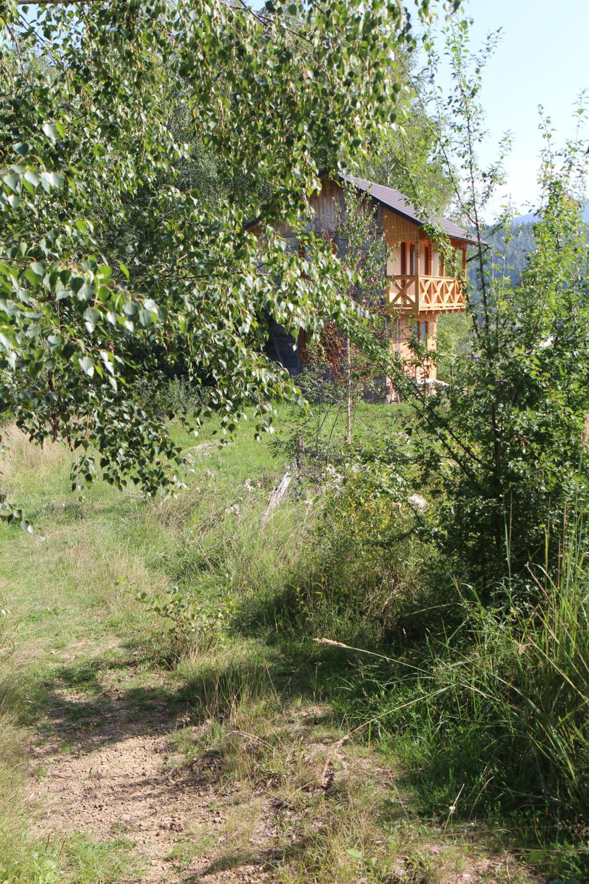 Photo 8