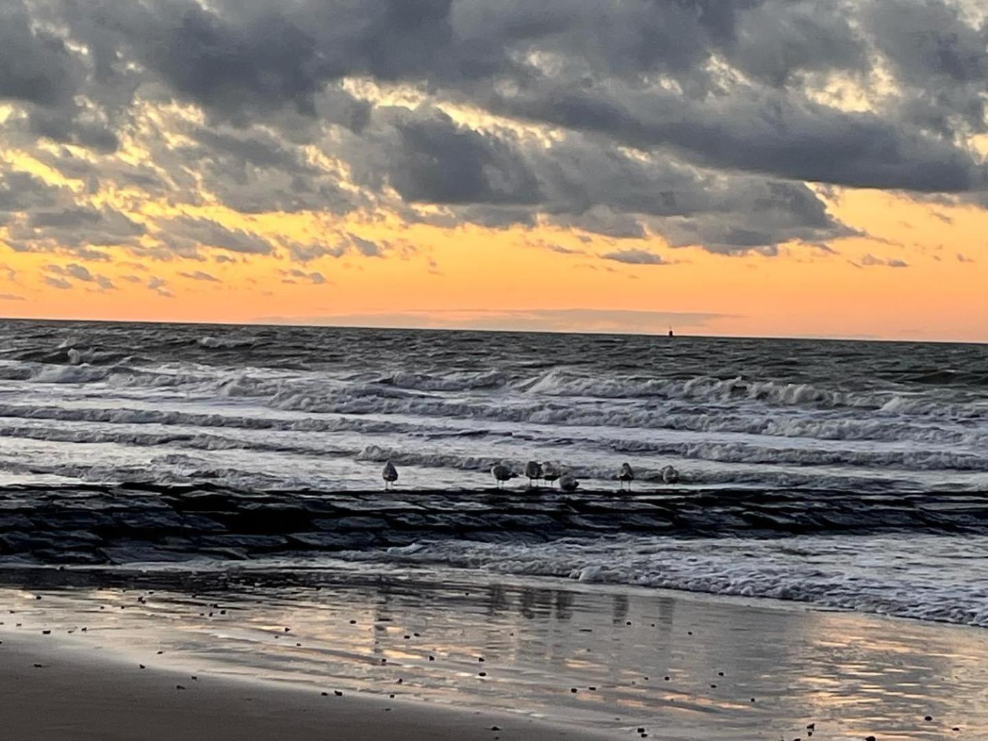 Casino Beach