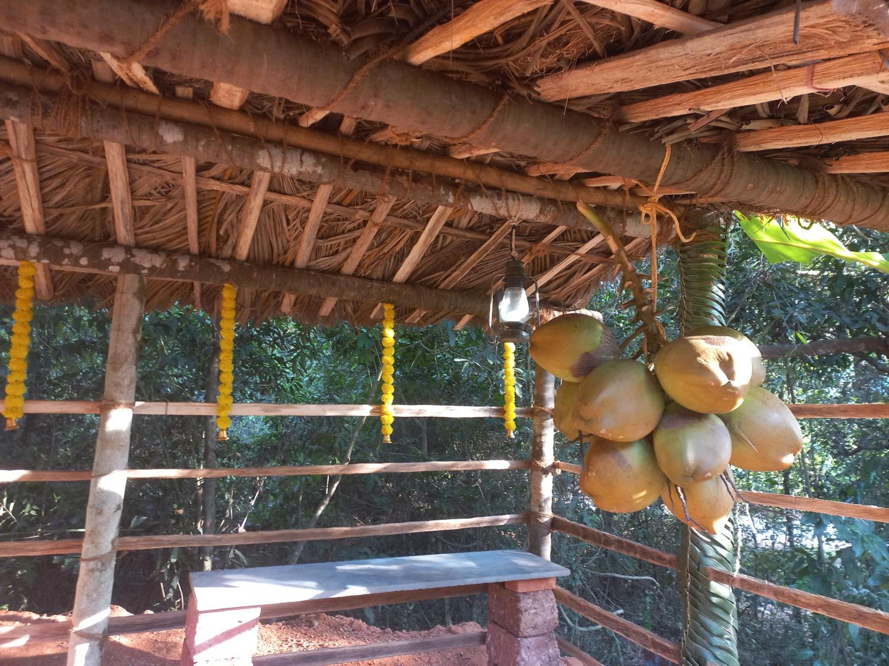NIDHIVANA FARMS & RESORT, bakrebail-salethoor rd, Mangalore