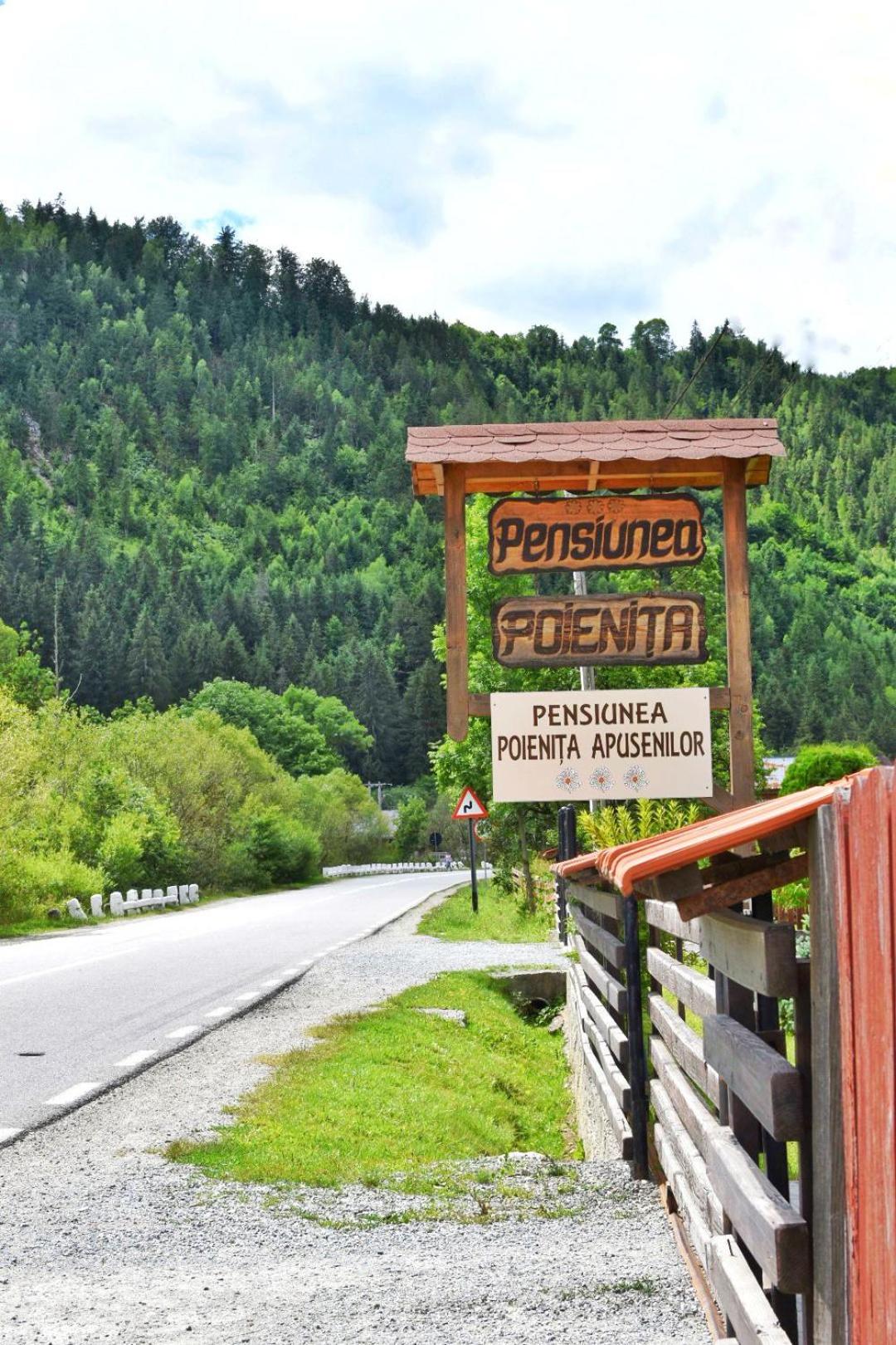 Pensiunea Poienita