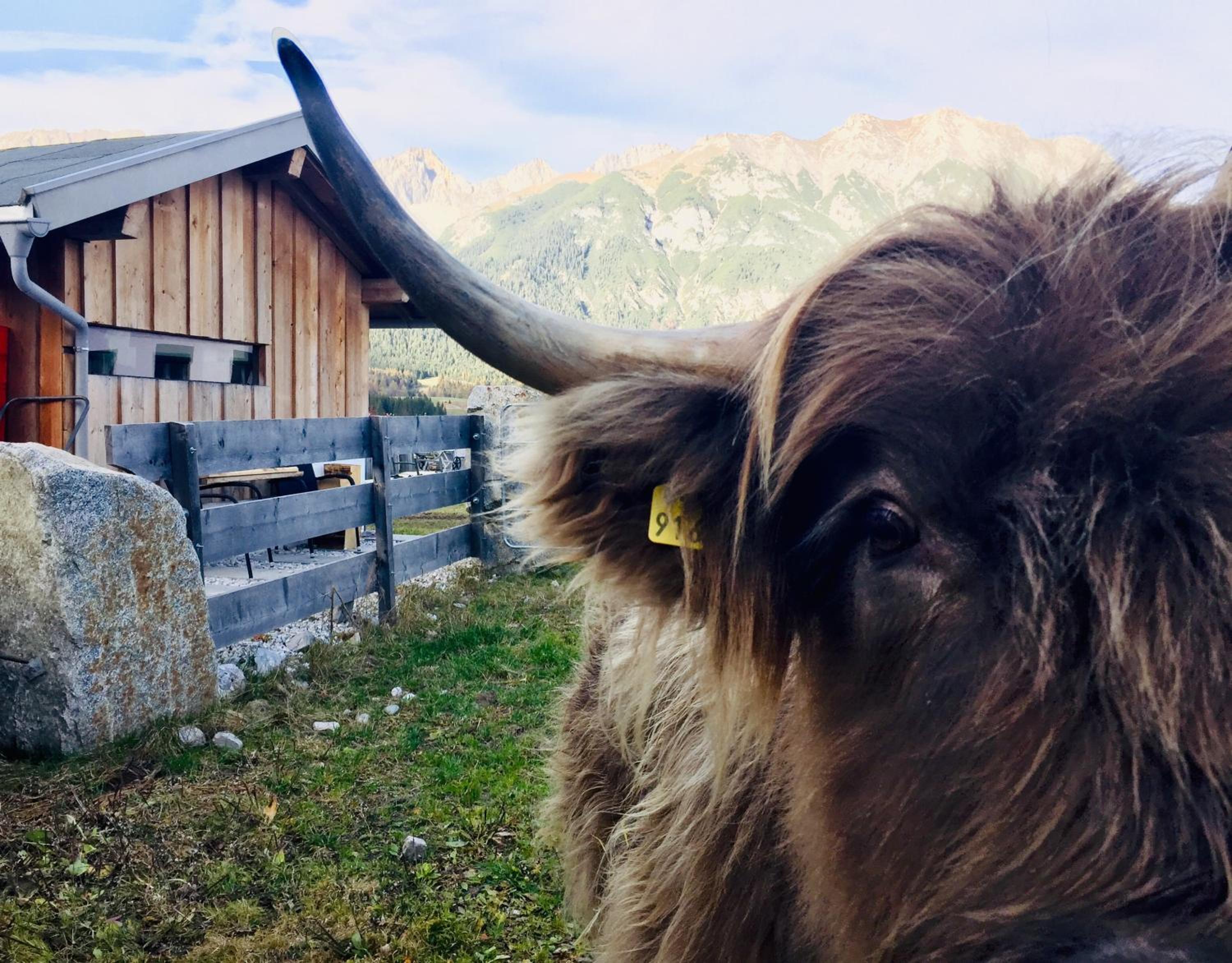 Zottlhof- dein Urlaubszauber auf 1.200m