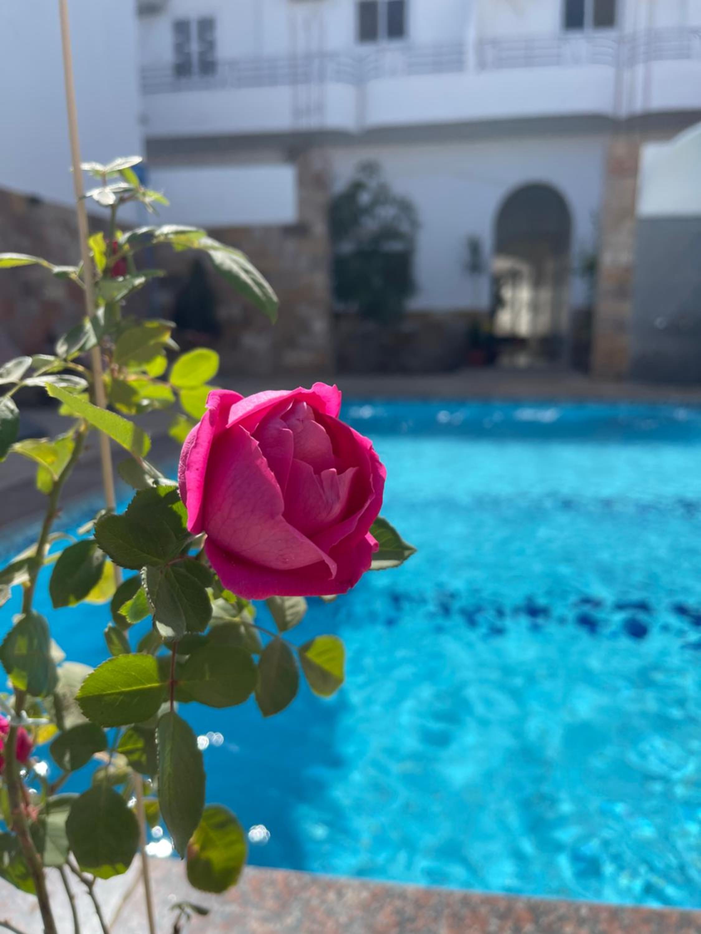 Spirit Luxor Luxury view 3