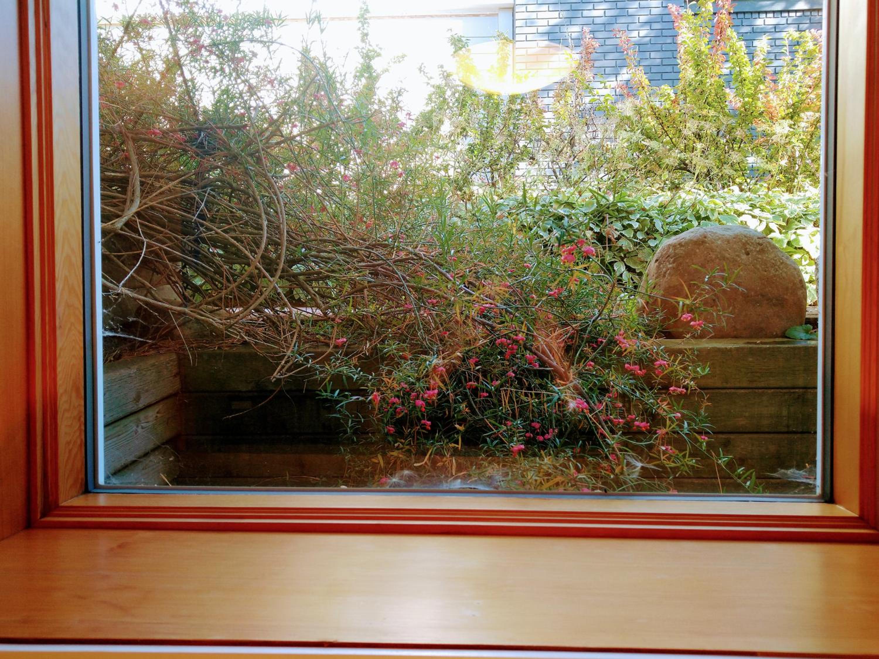 Photo 35