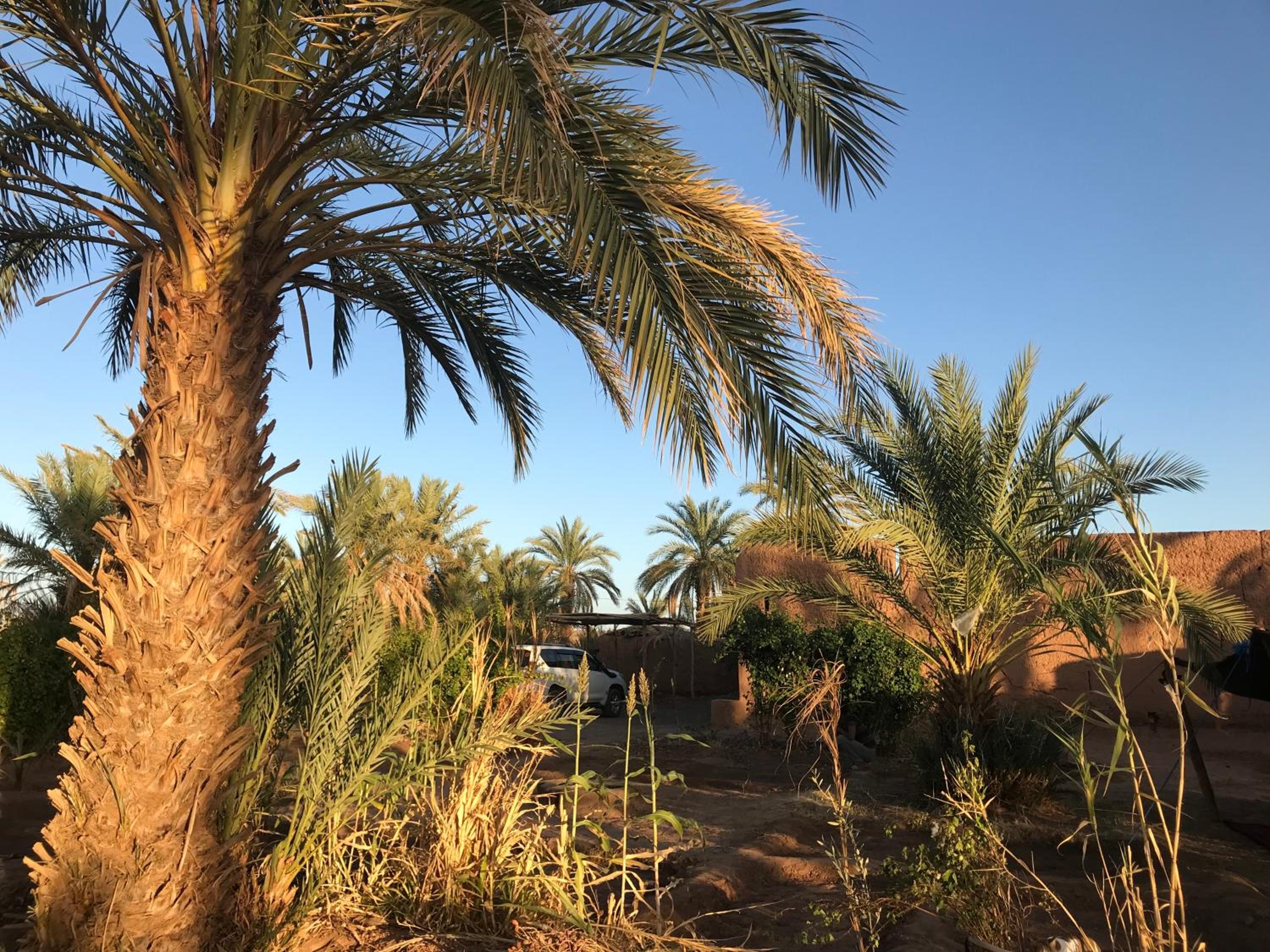 Kasbah Mashallah
