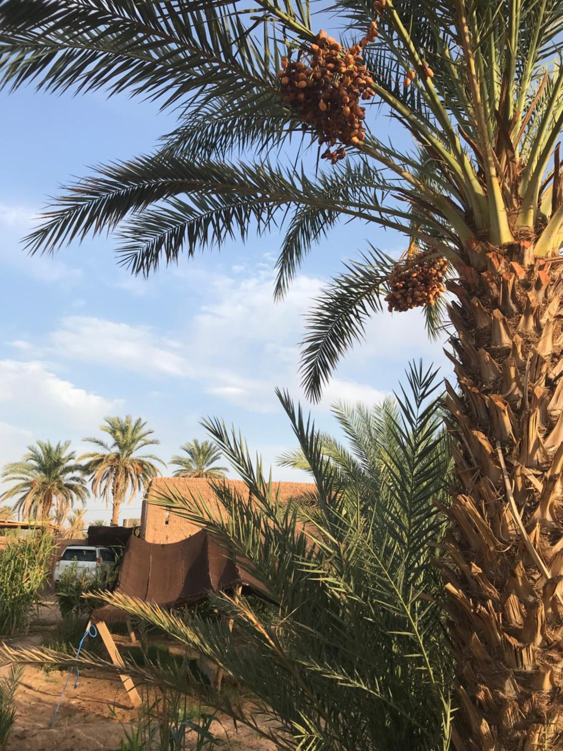 Kasbah Mashallah