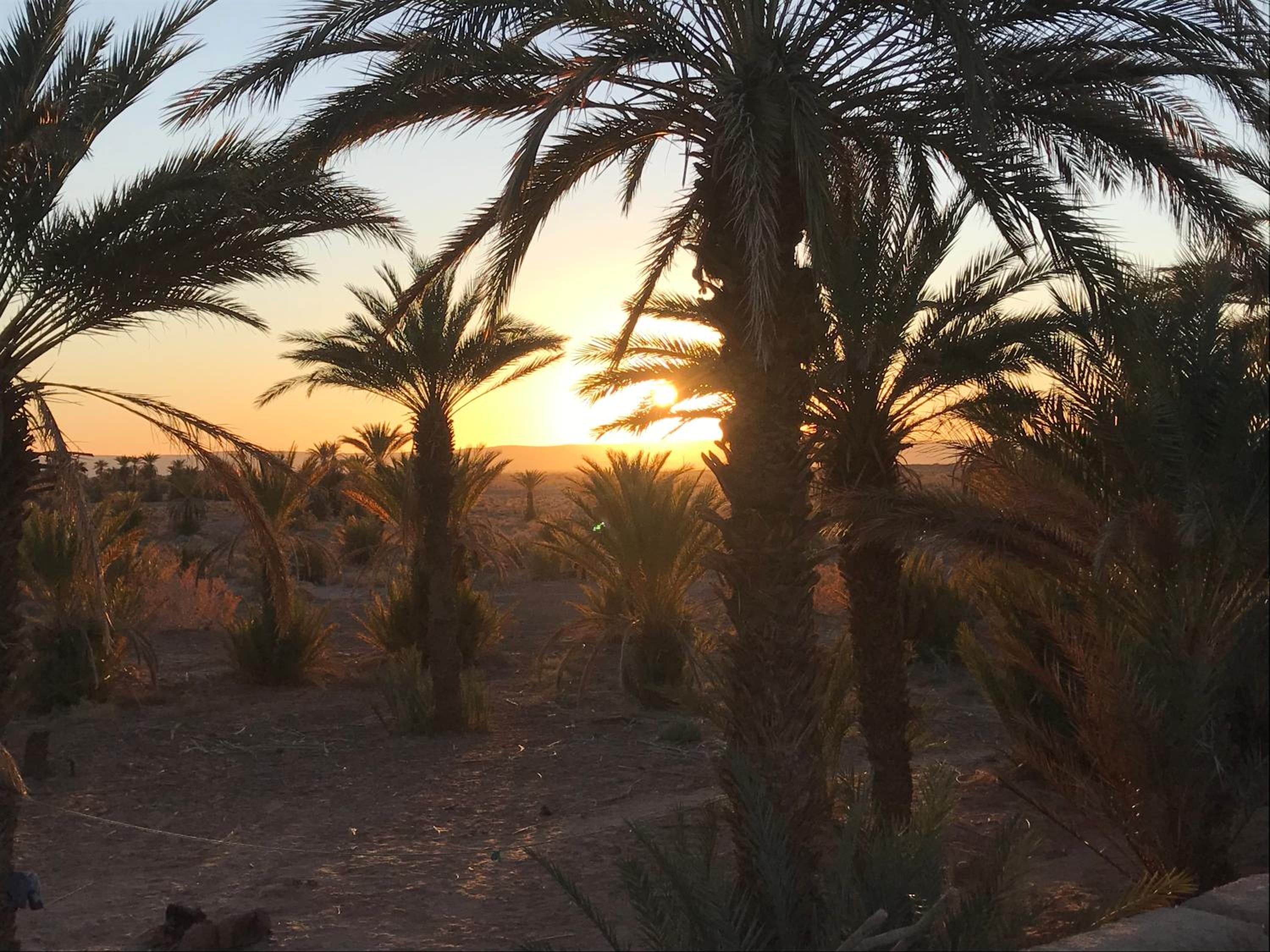 Kasbah Mashallah