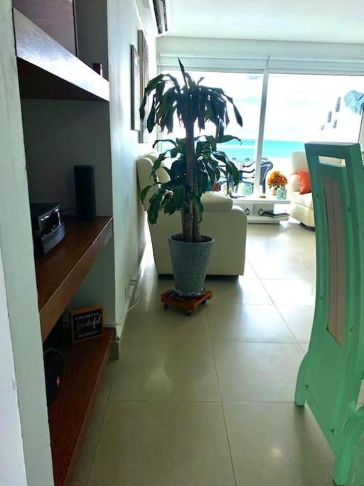 Apartamento torres del lago 1102