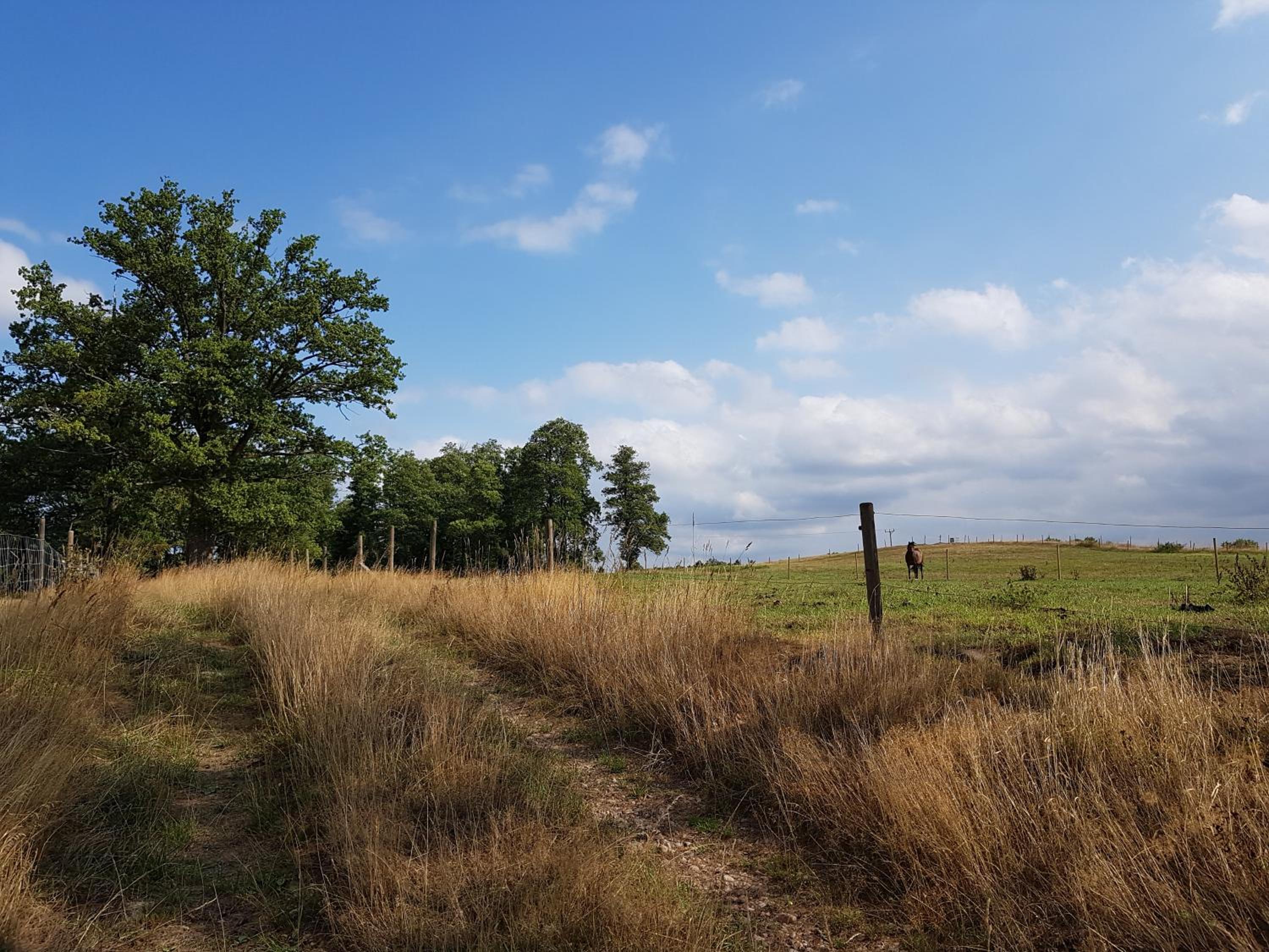 Photo 44