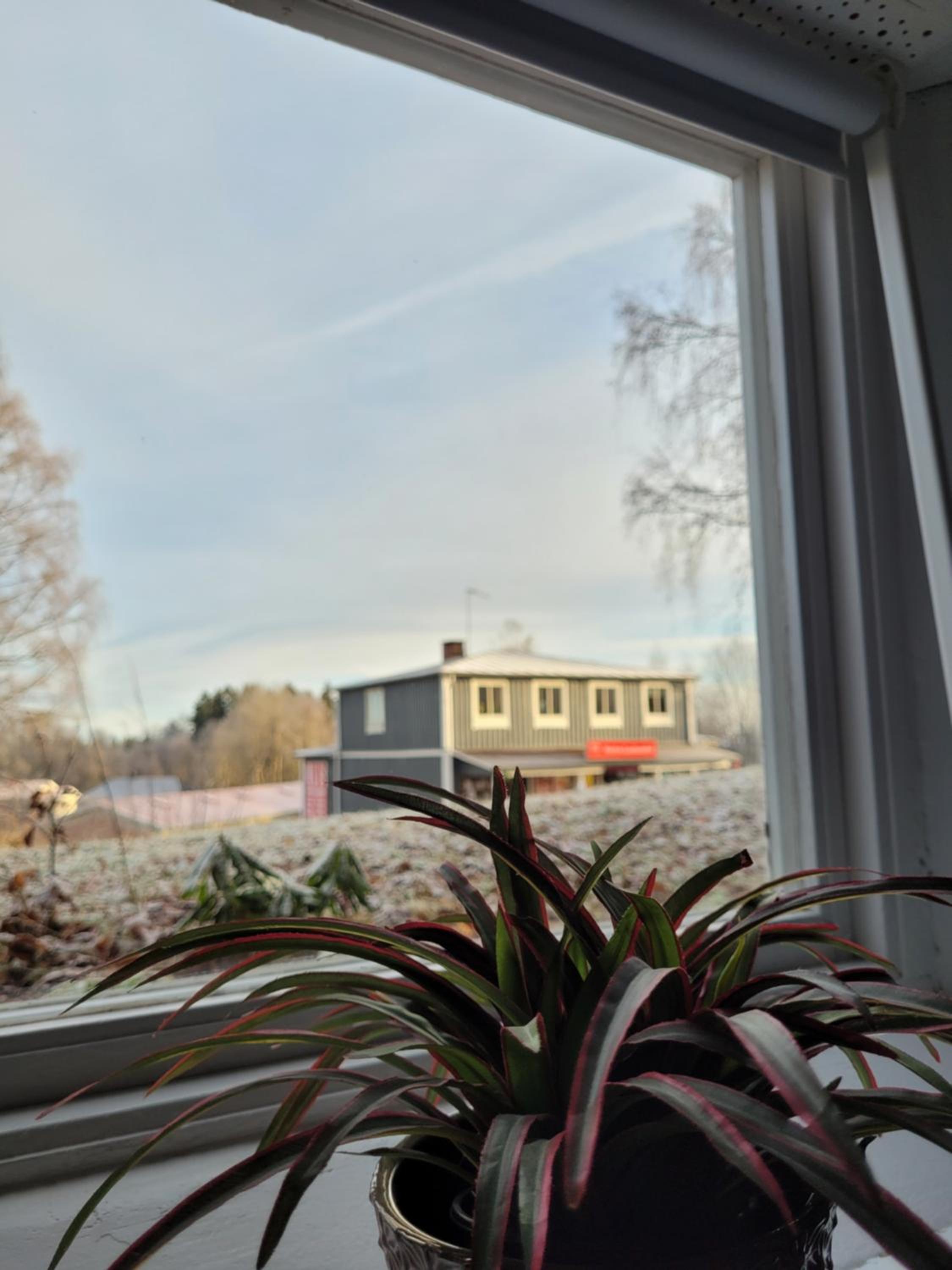 Photo 47