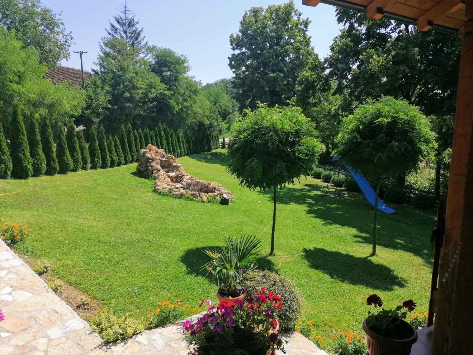 Photo 21