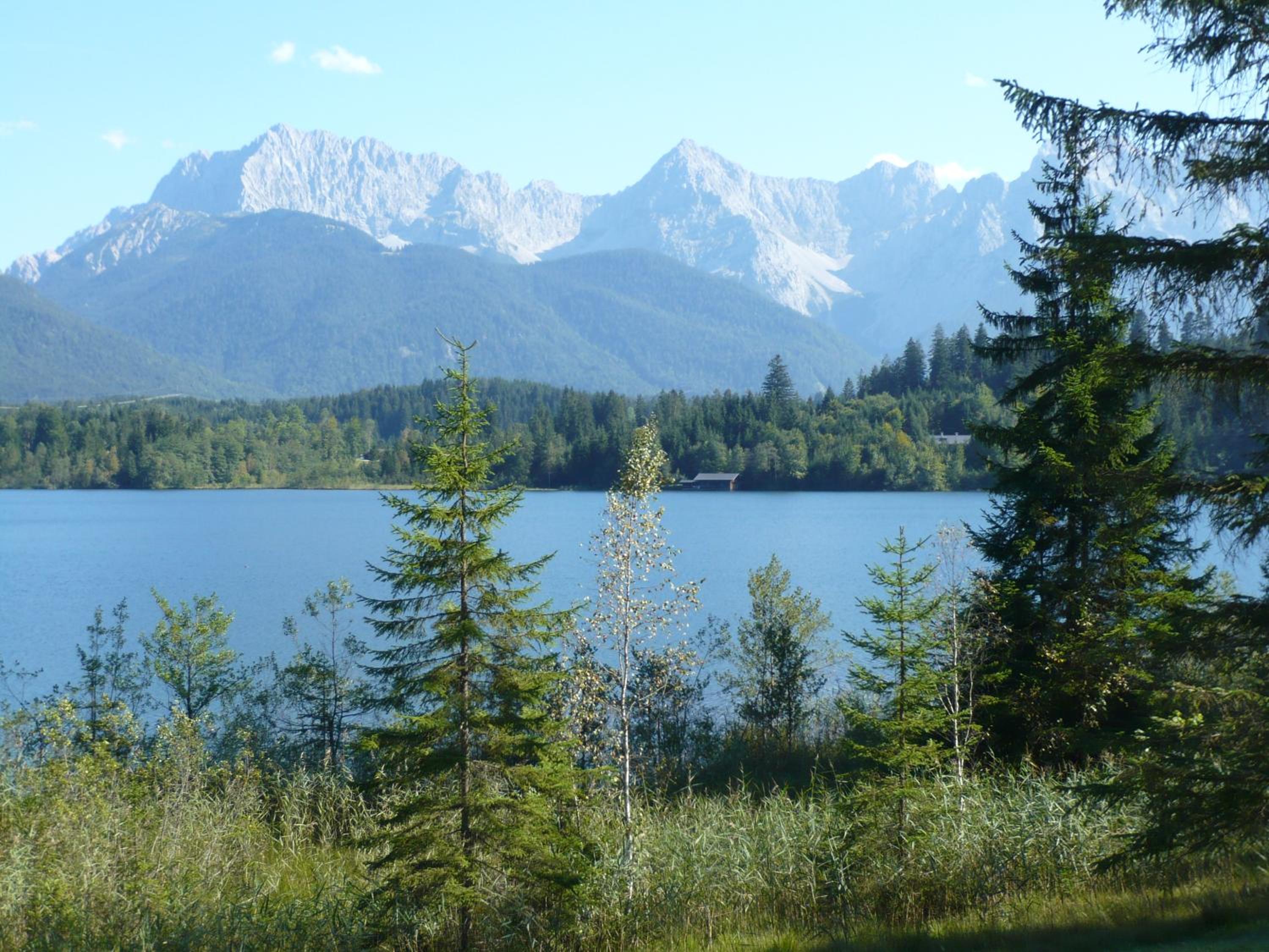 Photo 23