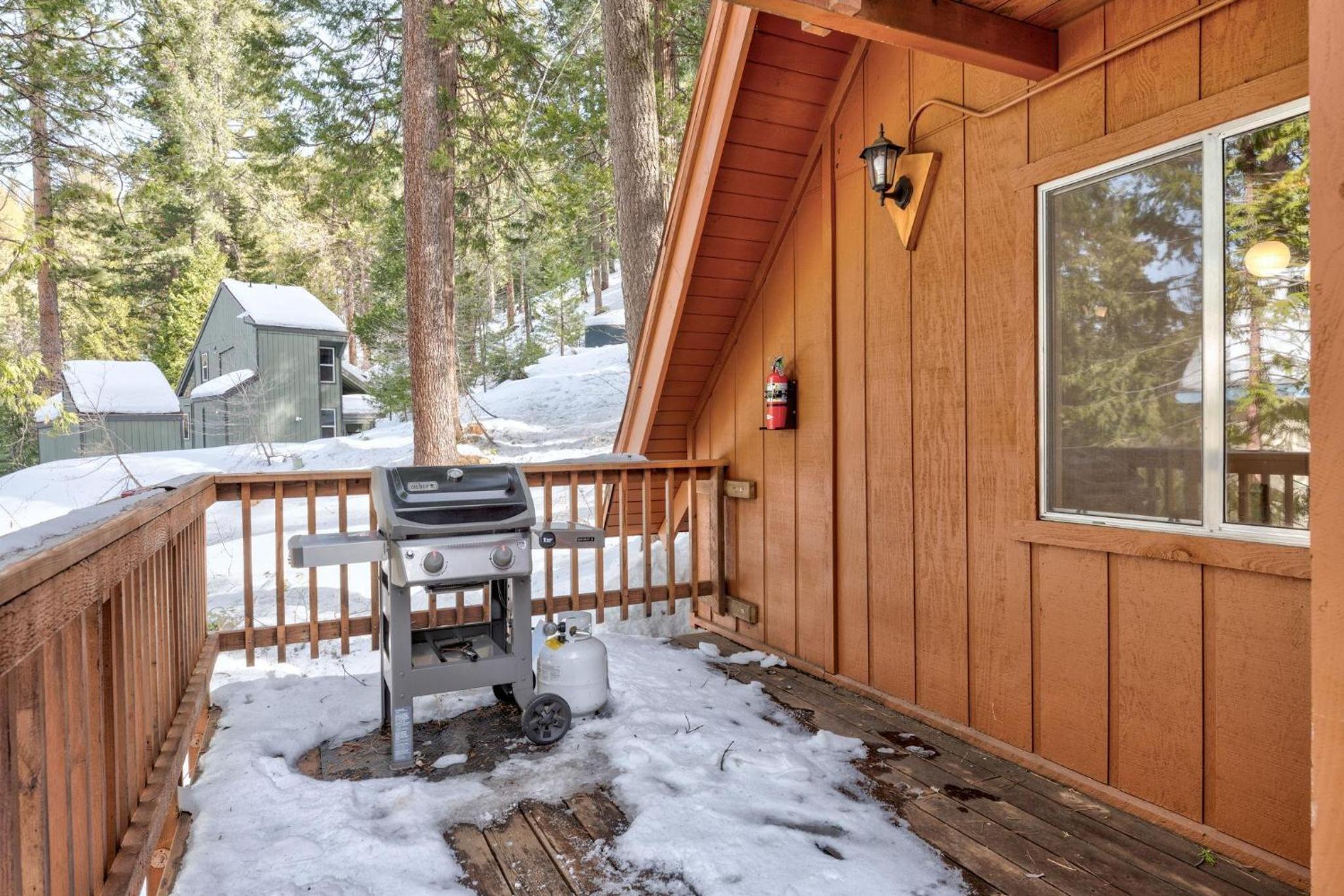 Clark Cabin view 3