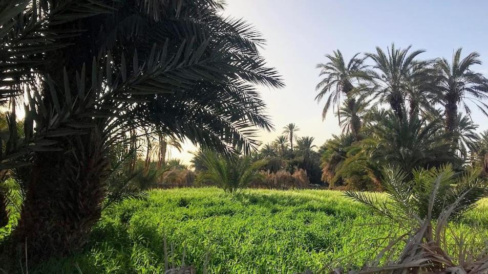 Kasbah Mashallah