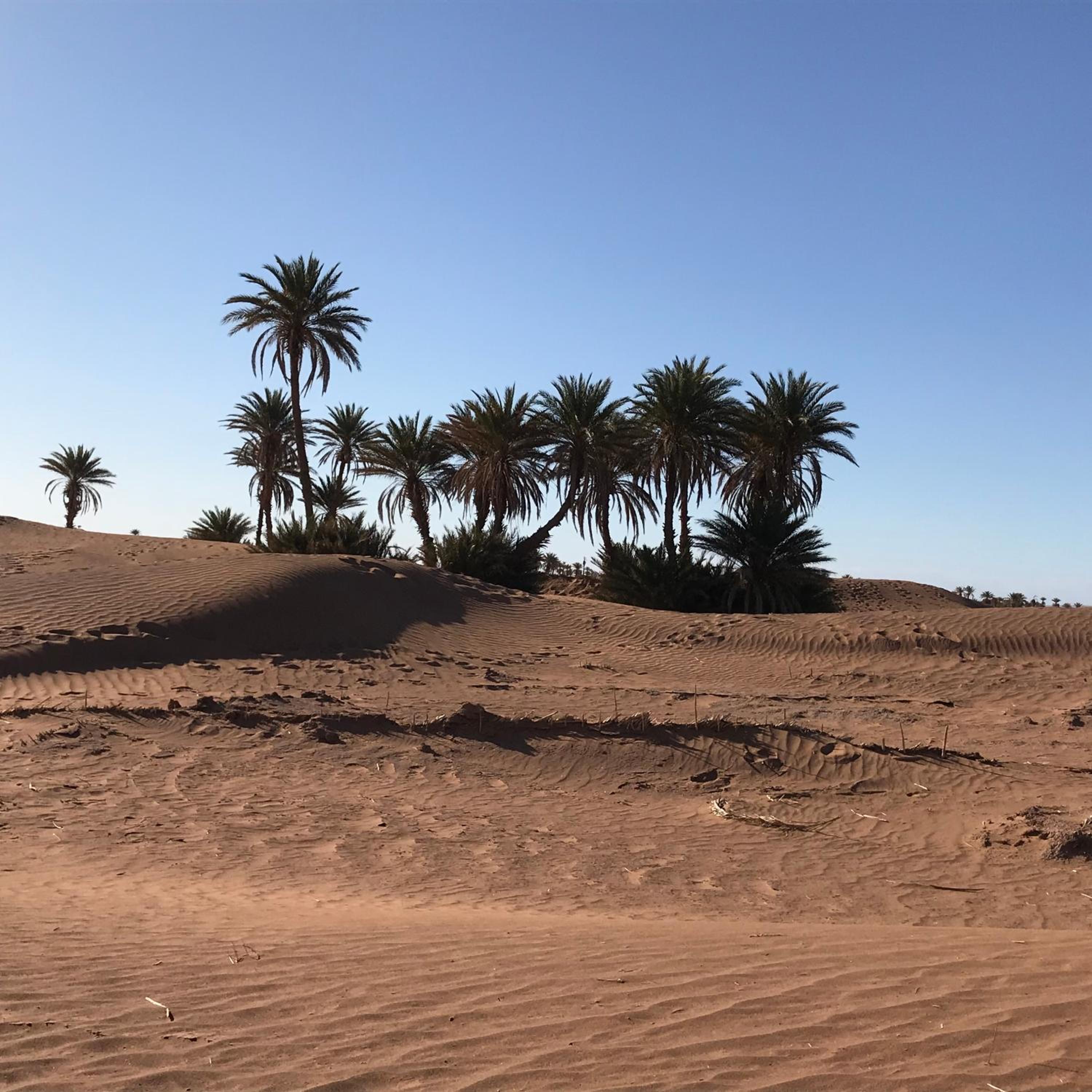 Kasbah Mashallah