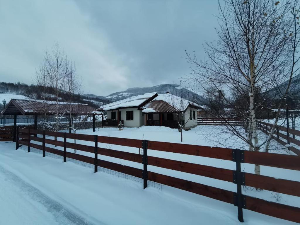 Bjelasica Home