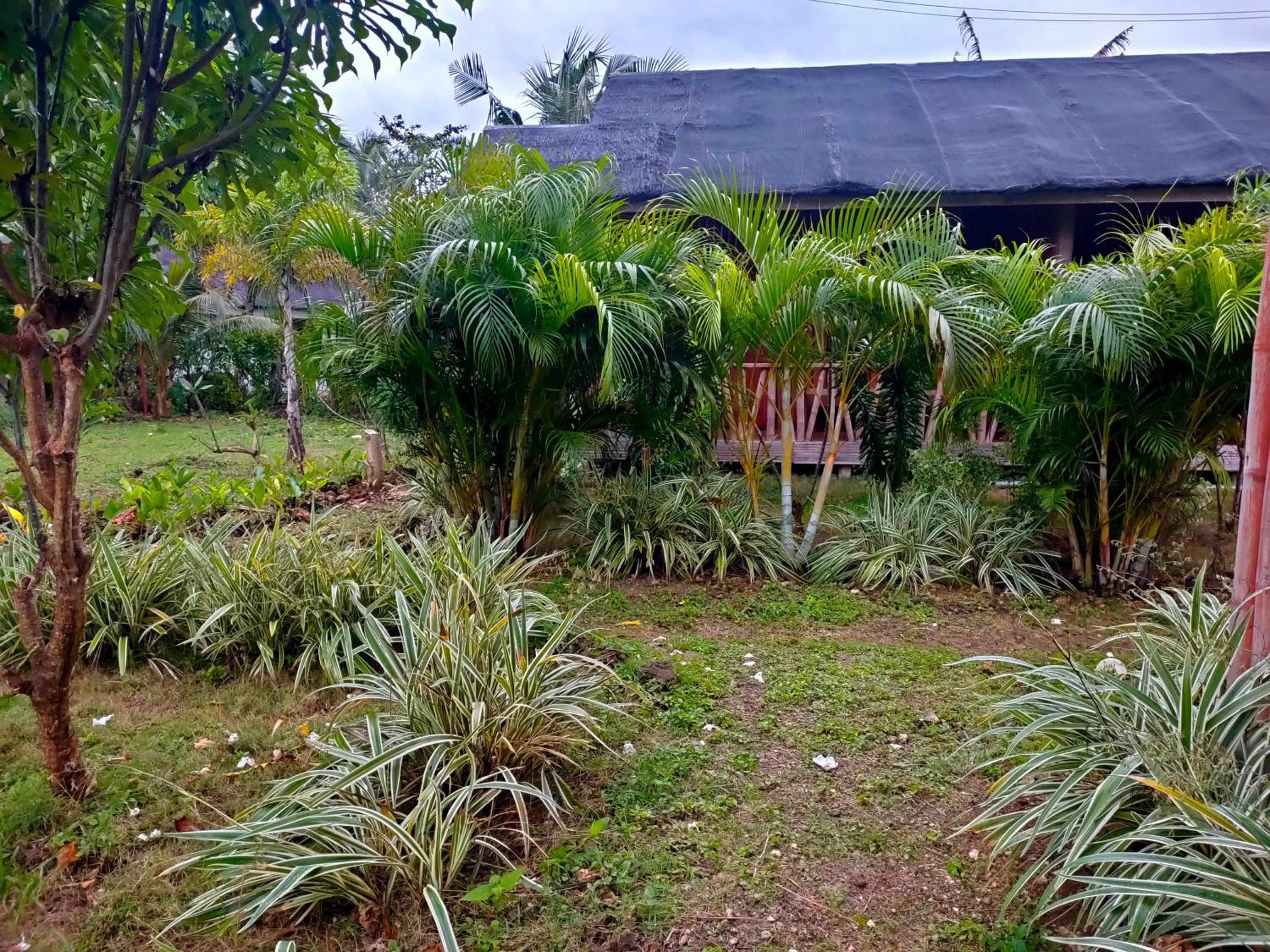 Winyanz Tambayan Tourist Inn view 5