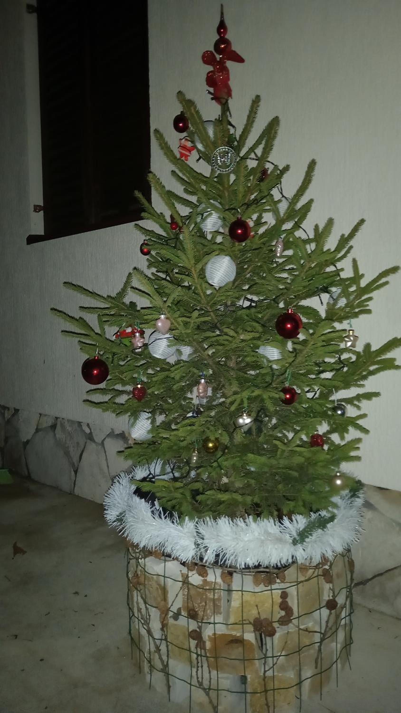 Bjelasica Home