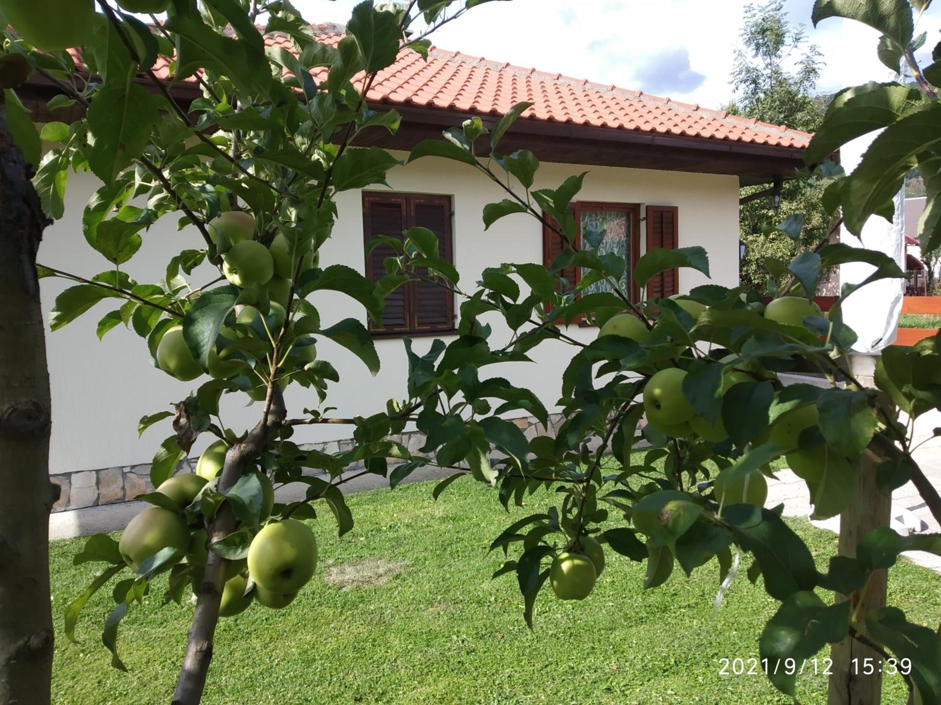 Bjelasica Home