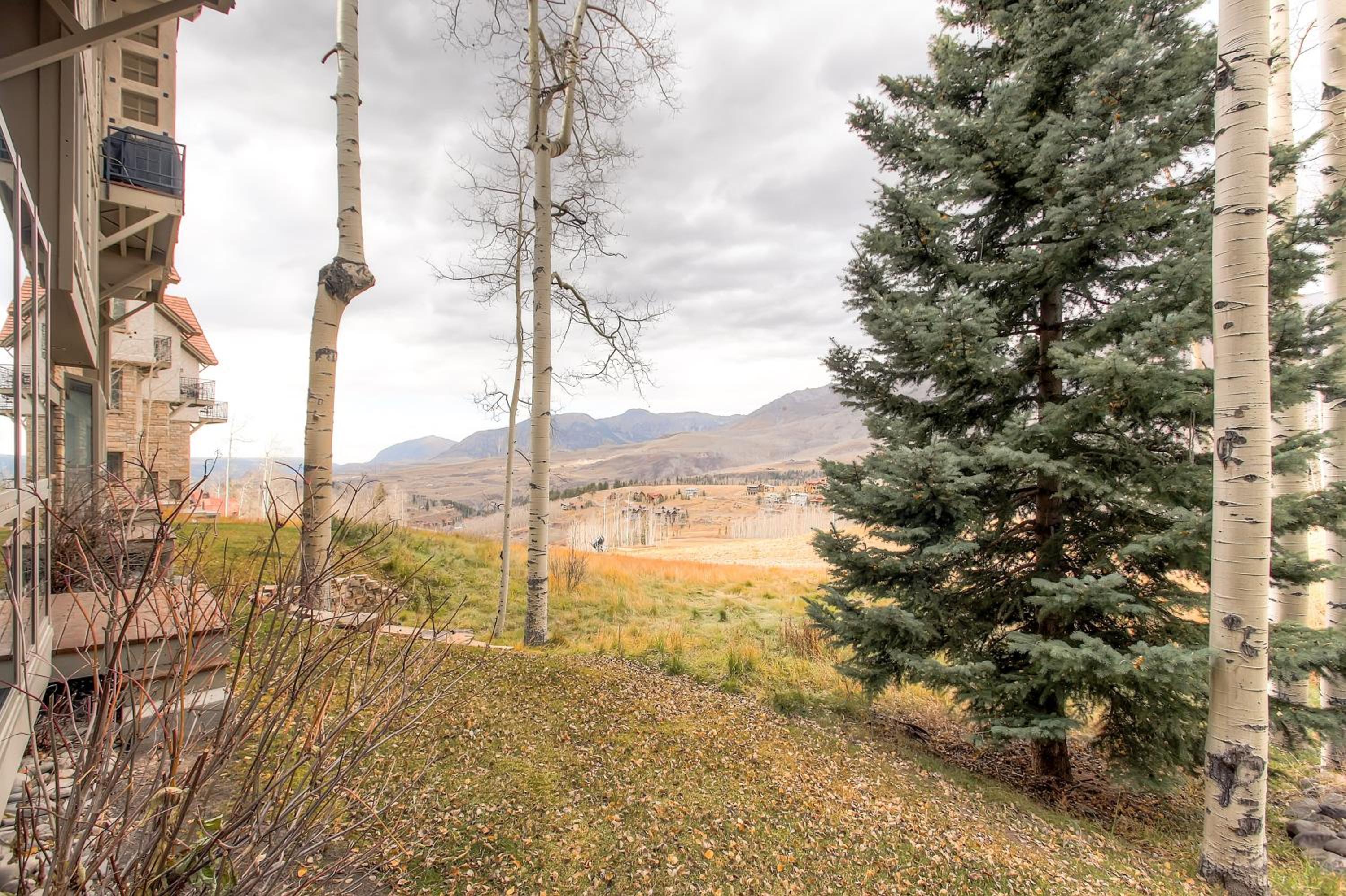 Aspen Ridge 27 by Alpine Lodging Telluride