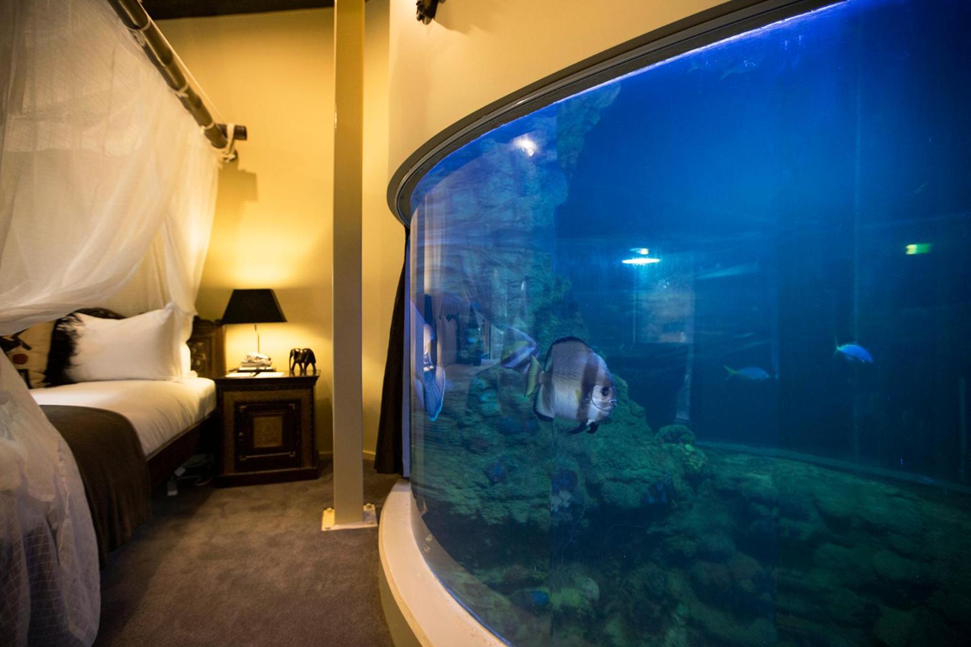 Jamala Wildlife Lodge