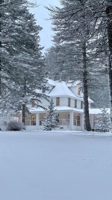 1850 Catskills Farmhouse on 8 acres in E. Durham view 3