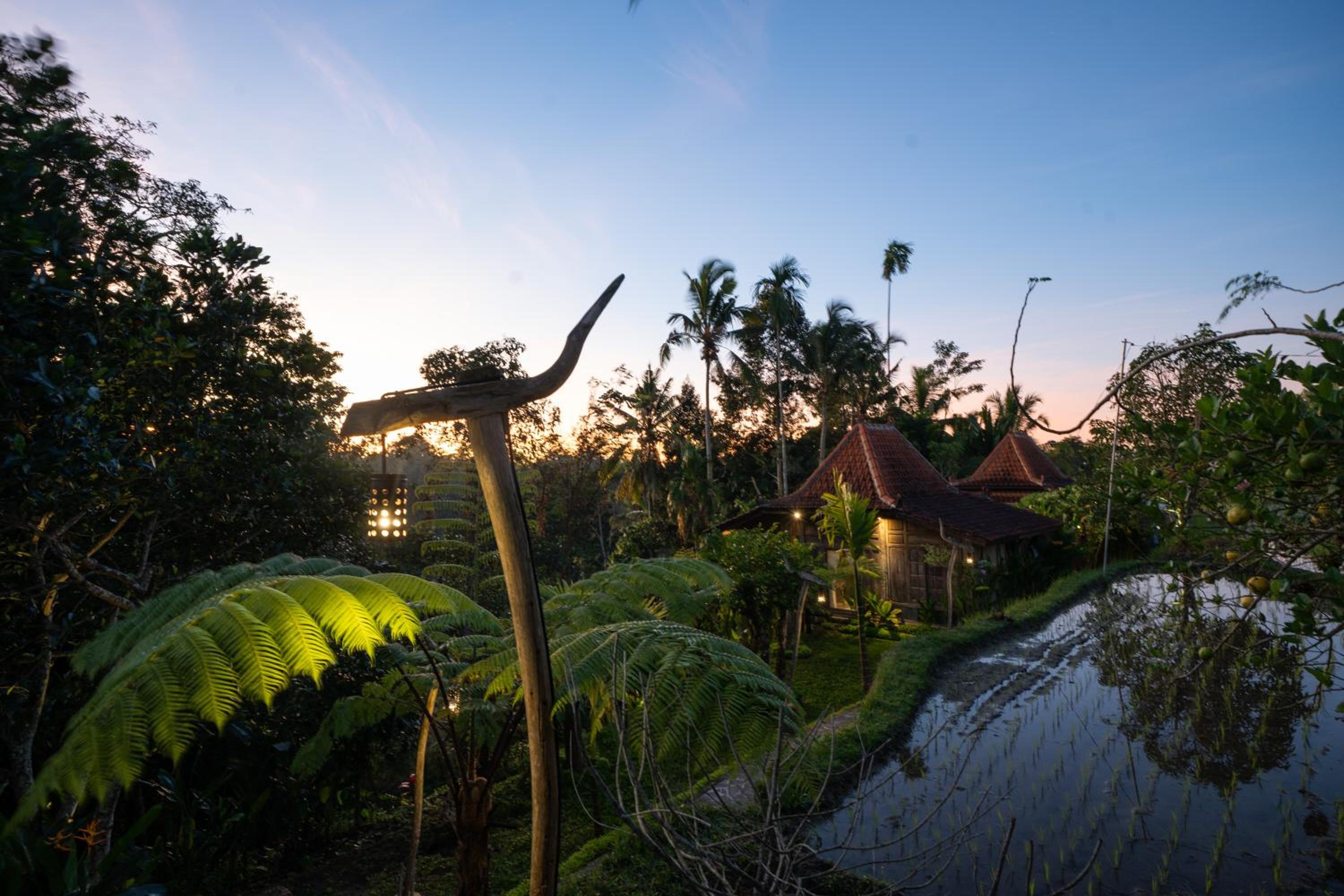 Umah Capung Sebatu Villas view 3