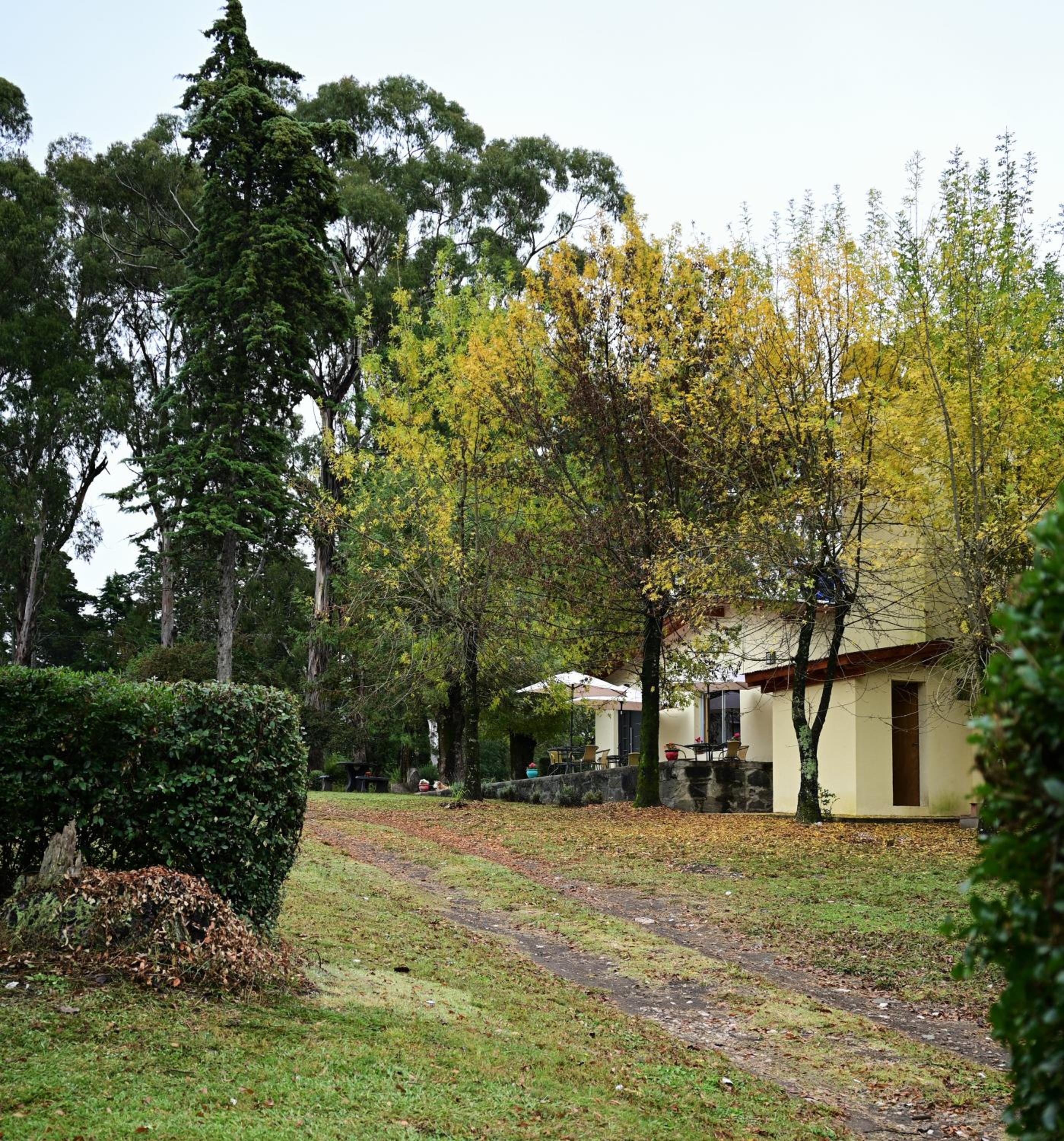 Posada Inguz