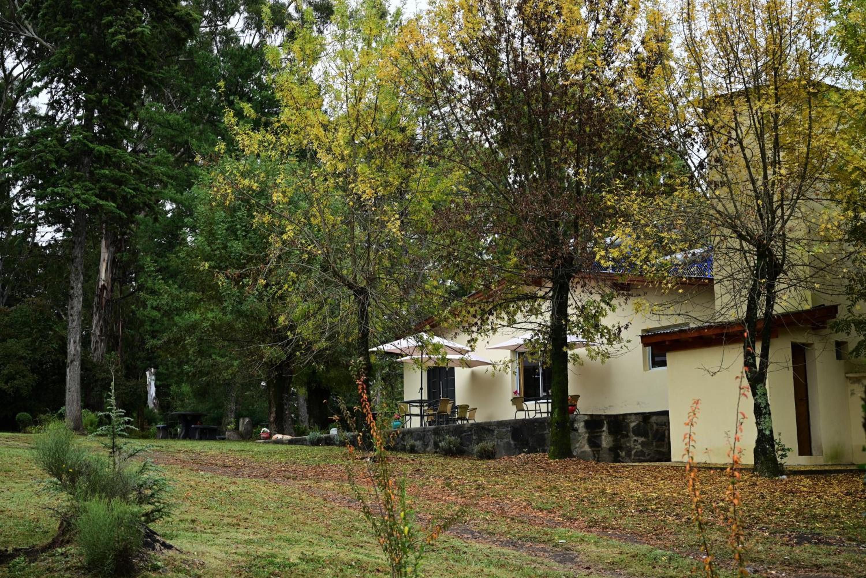 Posada Inguz
