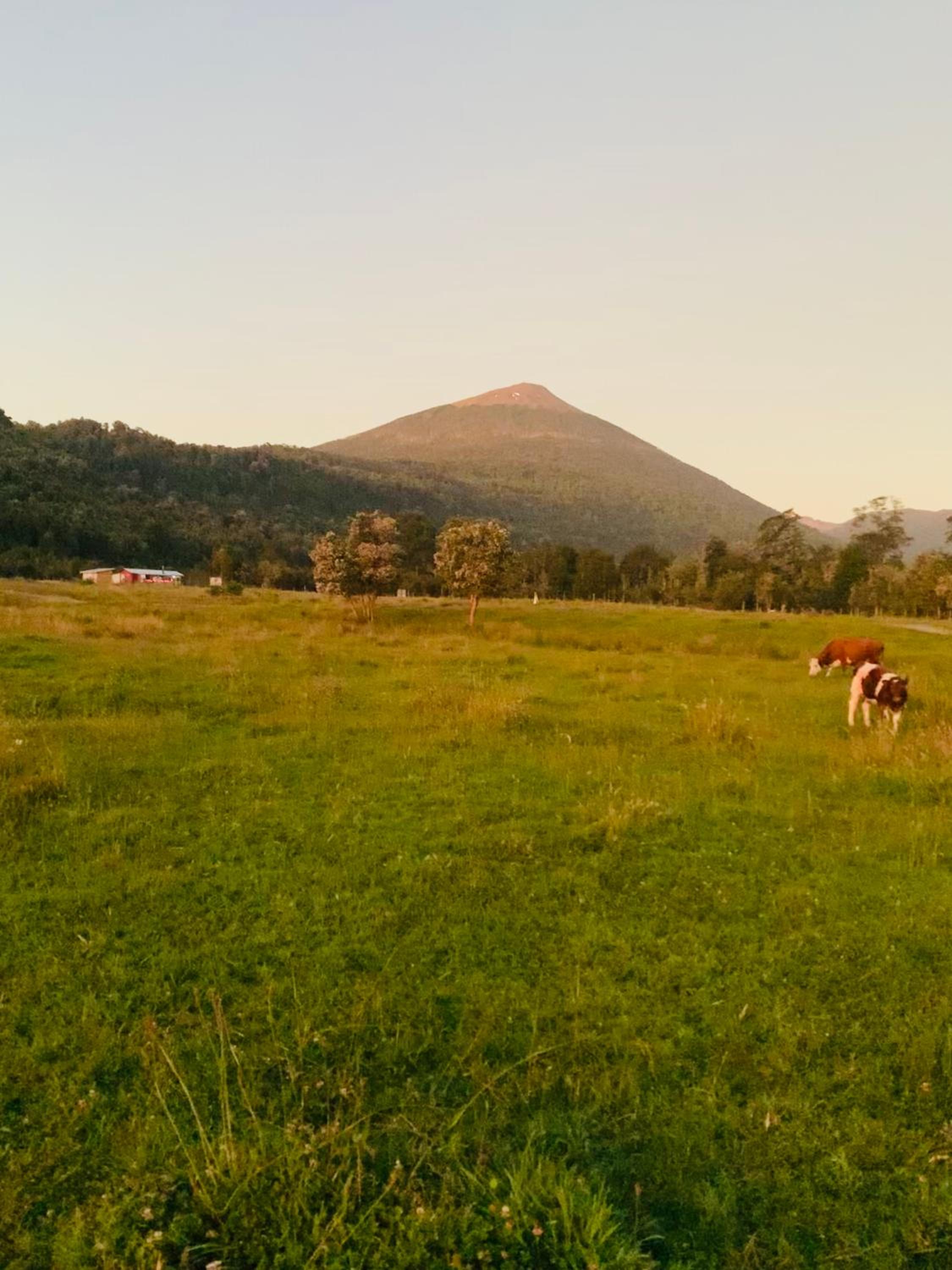 Cabaña del campo