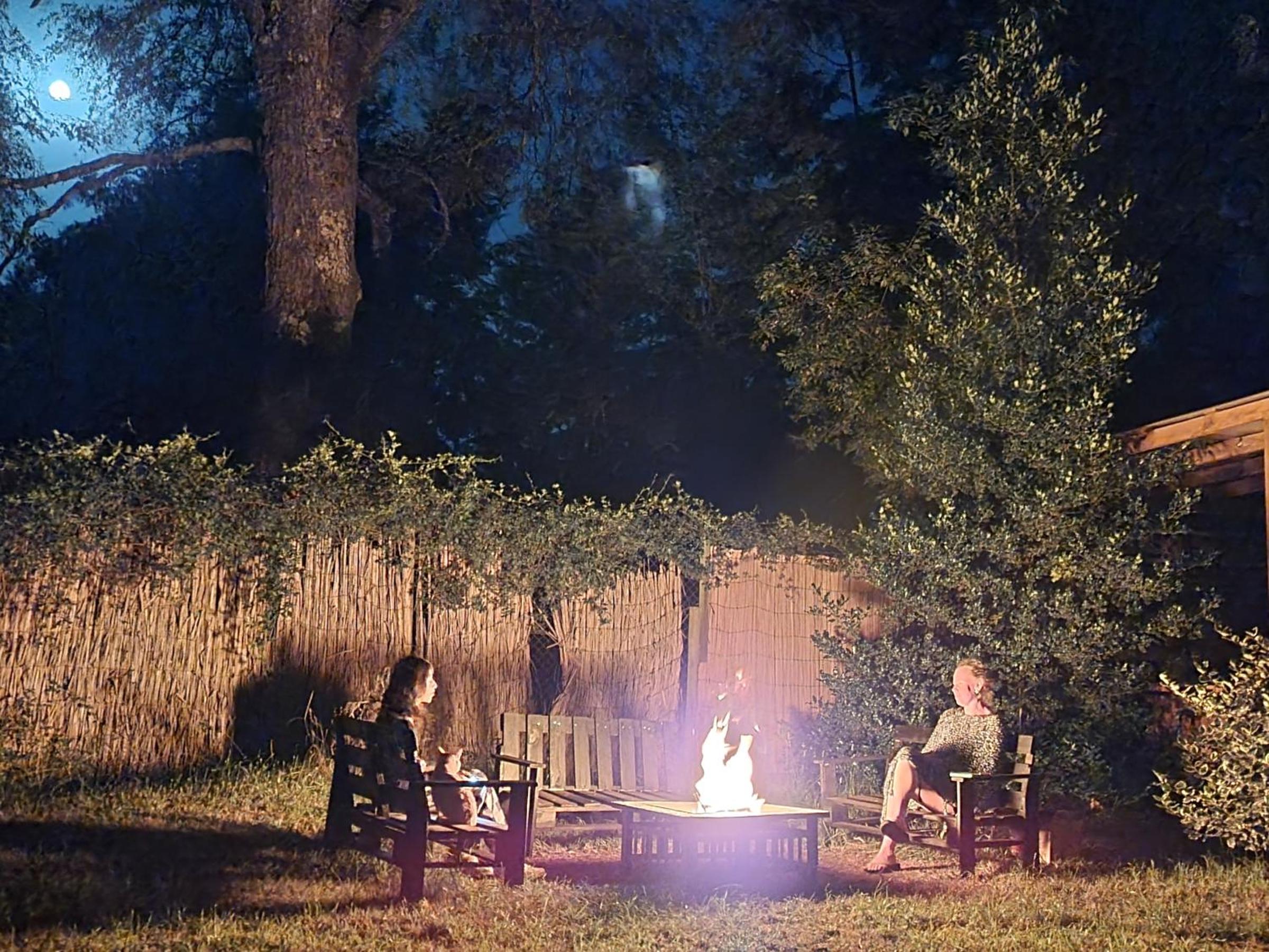 La Casa del Árbol Villarrica Cabañas-Piscina-Tinajas