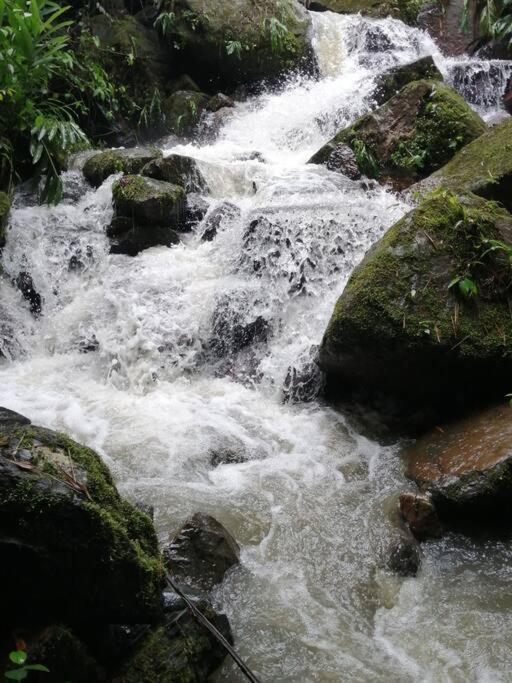 Alejandría, reserva natural y las 7 cascadas