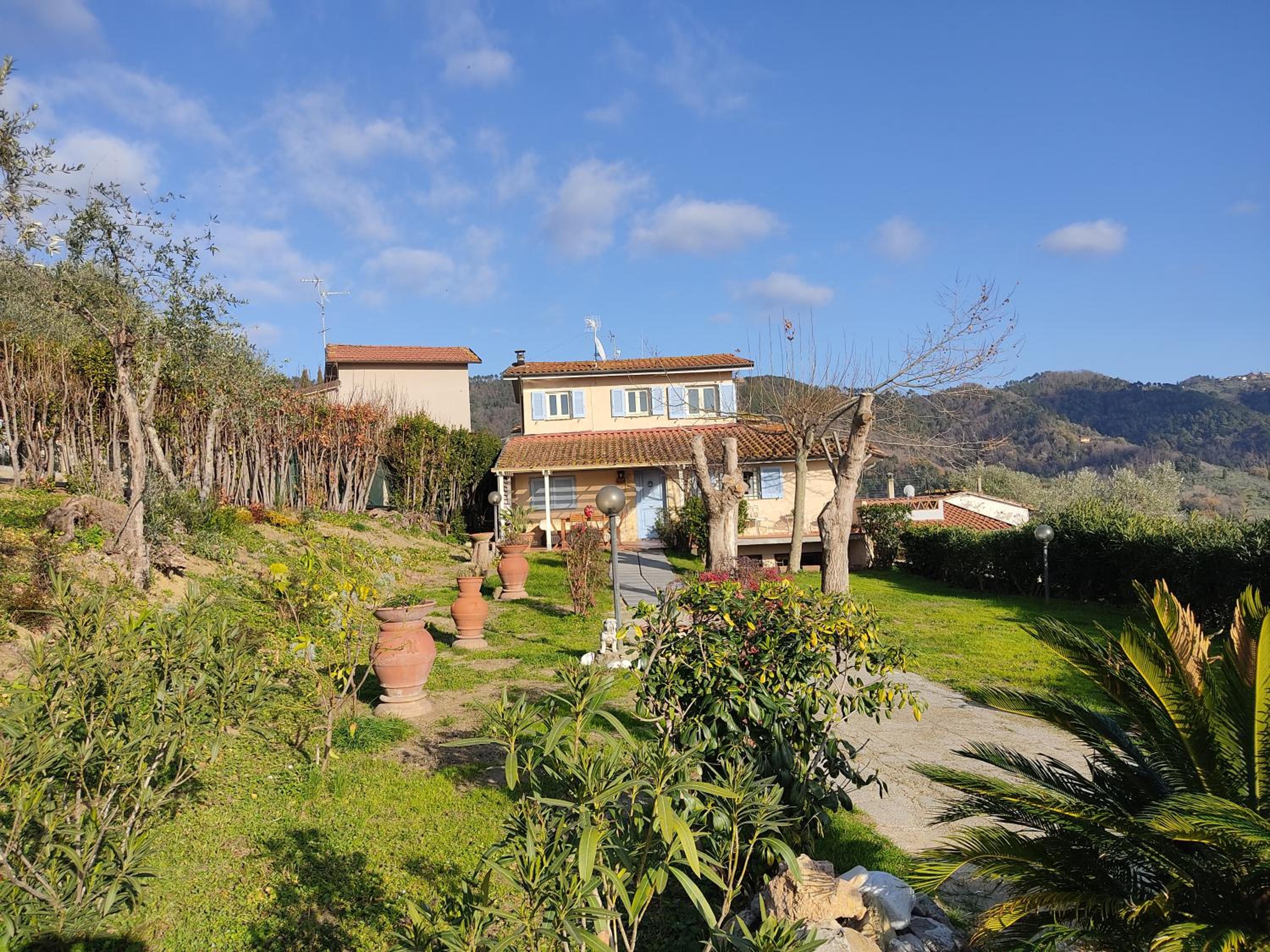 Photo 16