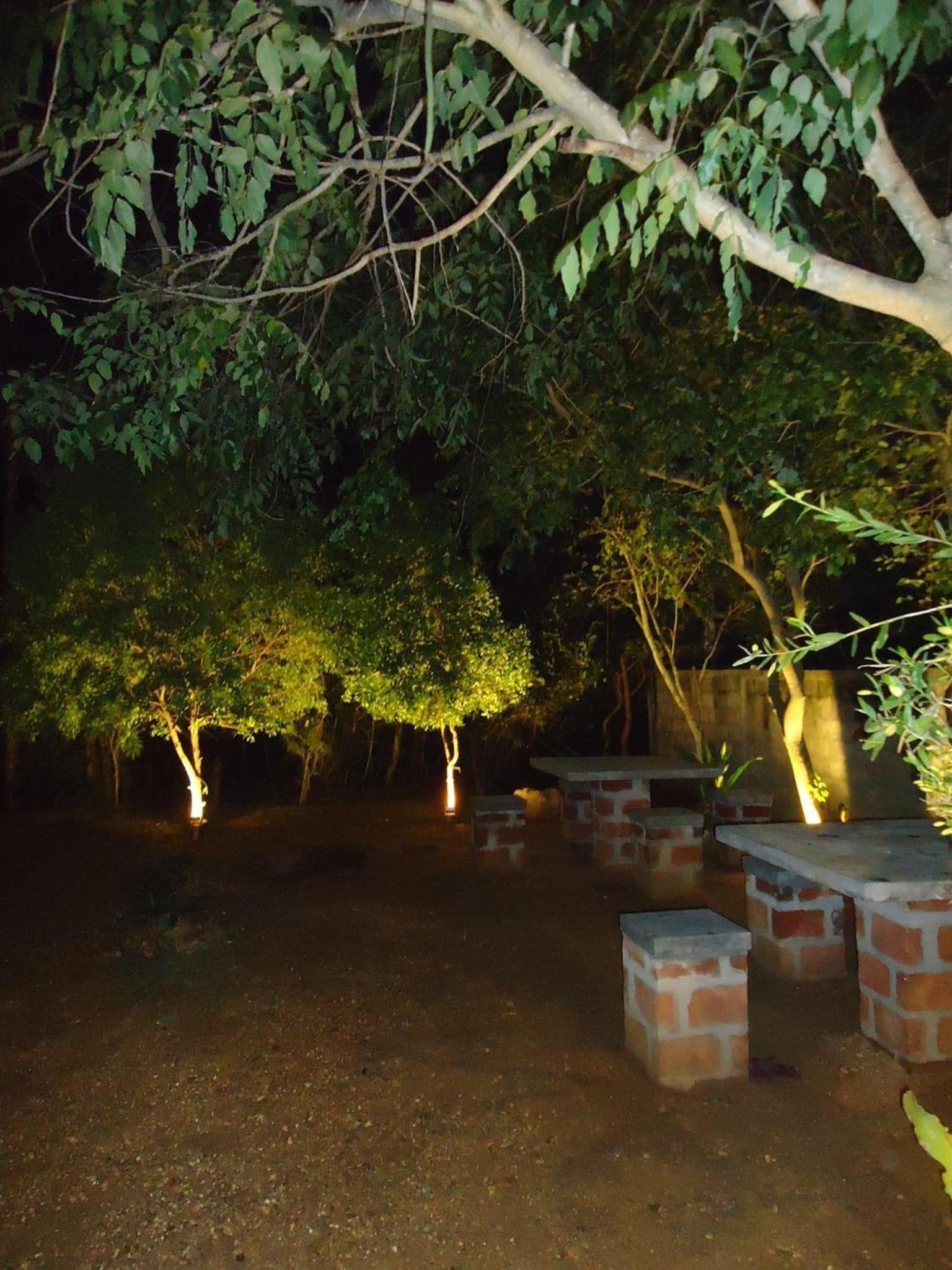 Photo 11