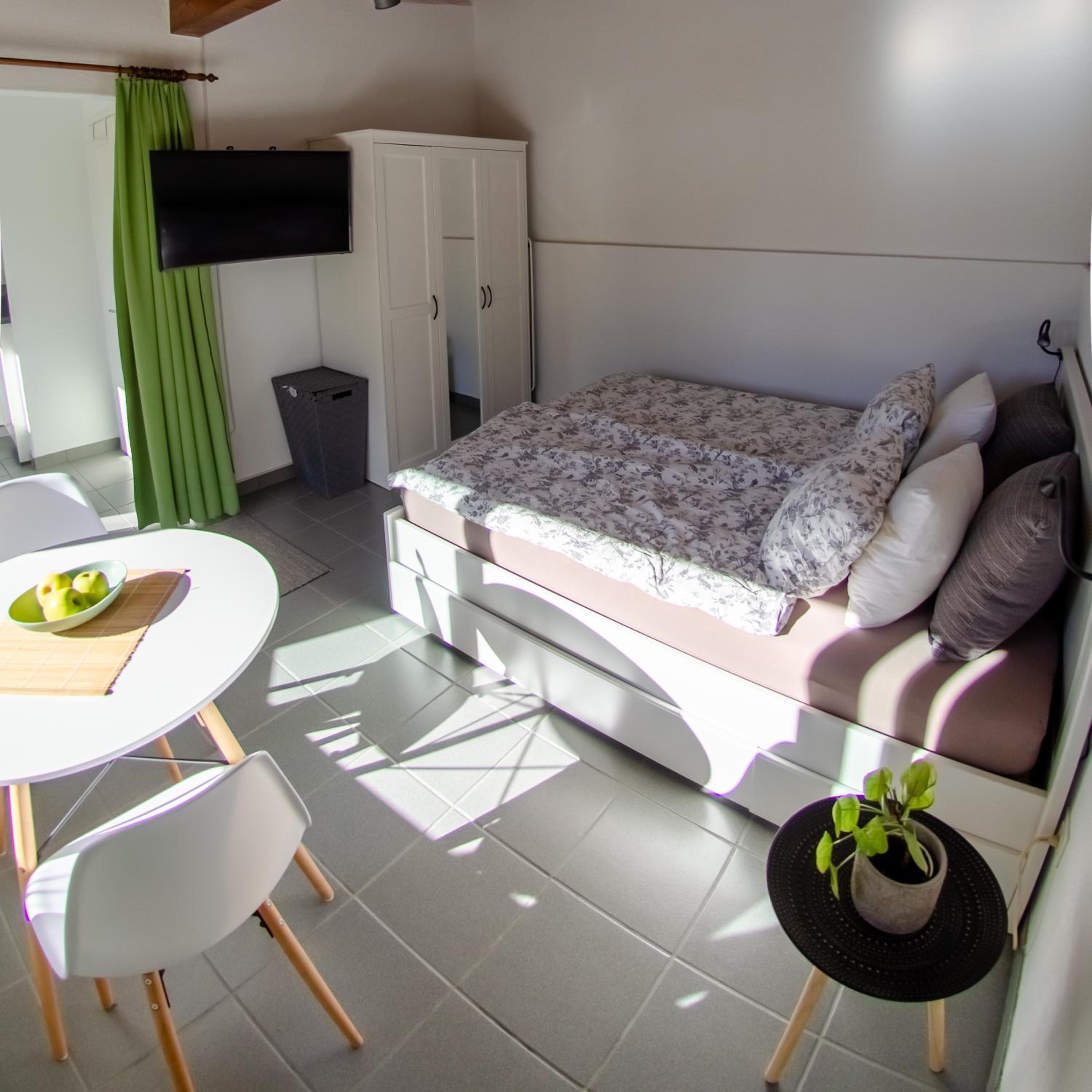 Rustico al Sole - Just renewed 1bedroom home in Ronco sopra Ascona